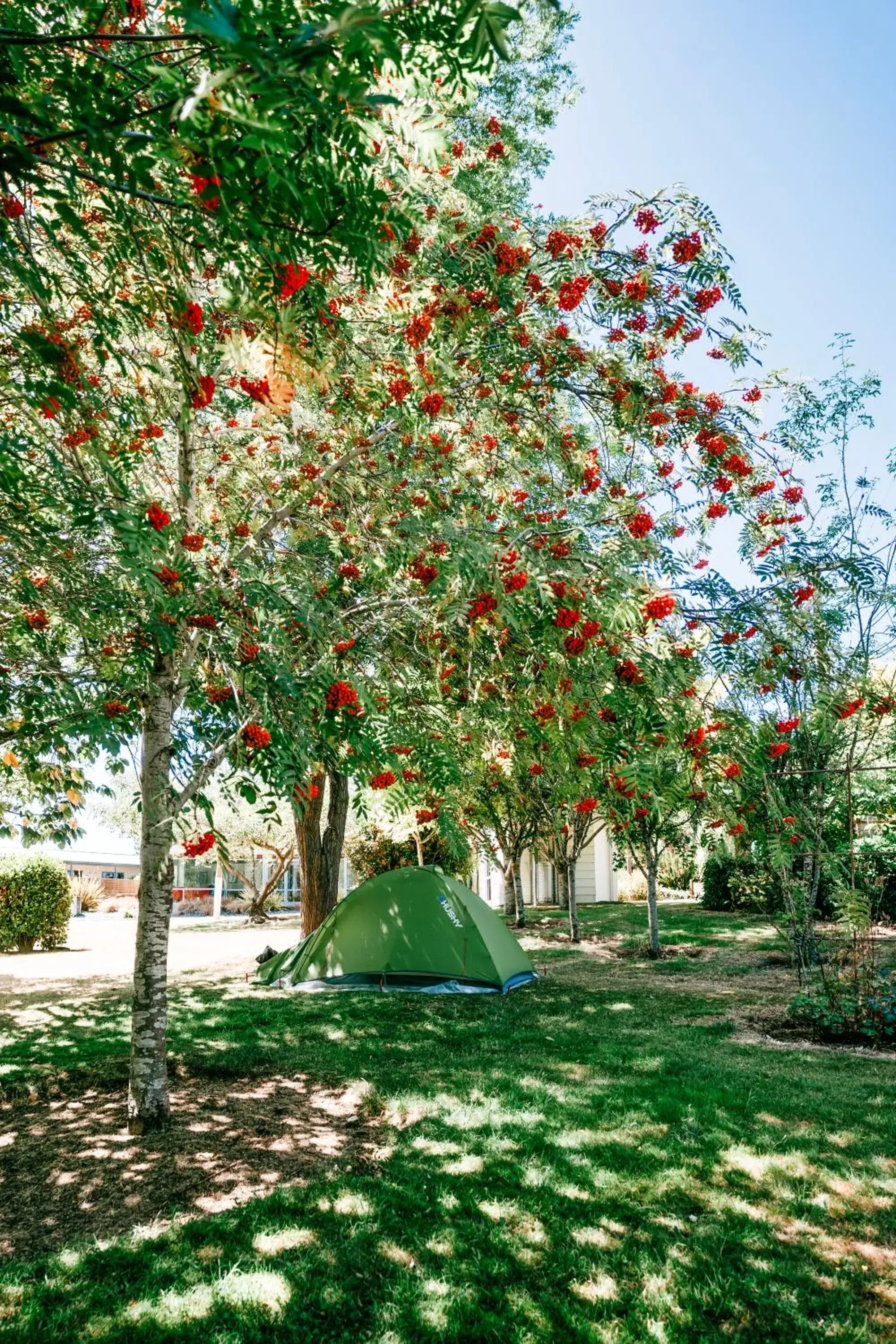 Garden view in Te Anau Lakeview Holiday Park & Motels Garden view in Te Anau Lakeview Holiday Park & Motels
