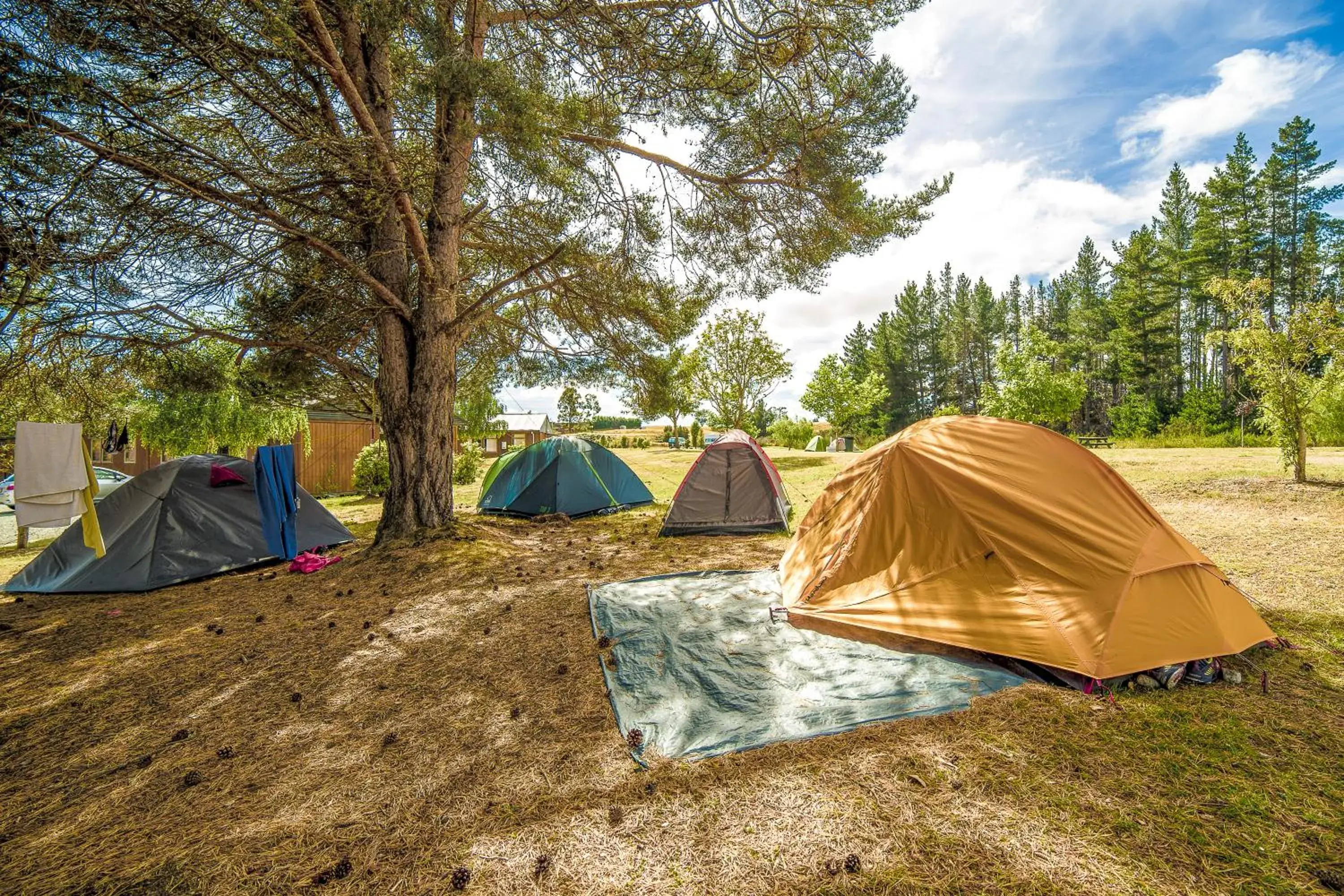 Garden view in Te Anau Lakeview Holiday Park & Motels Garden view in Te Anau Lakeview Holiday Park & Motels