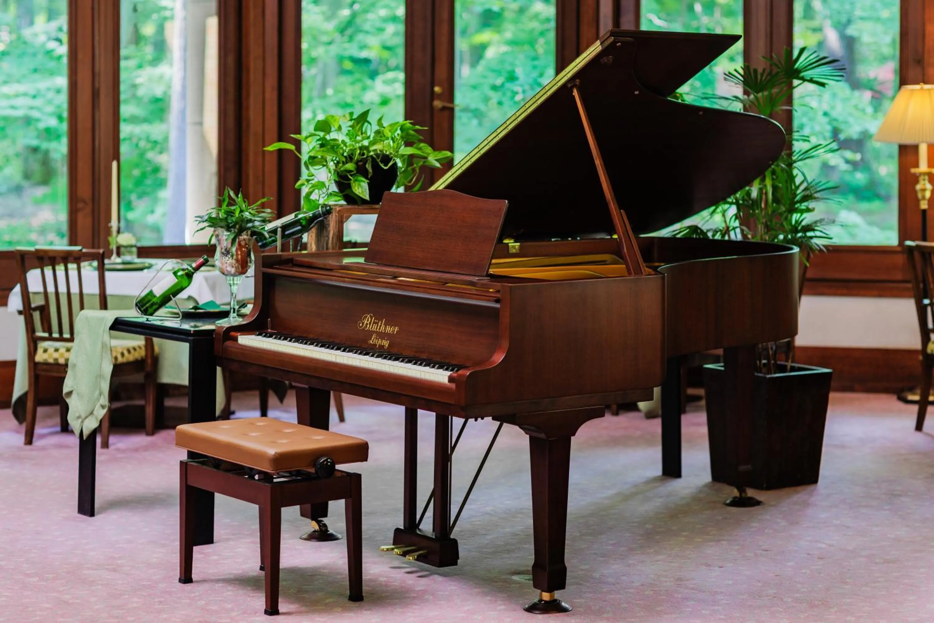 Evening entertainment in Hotel La Neige