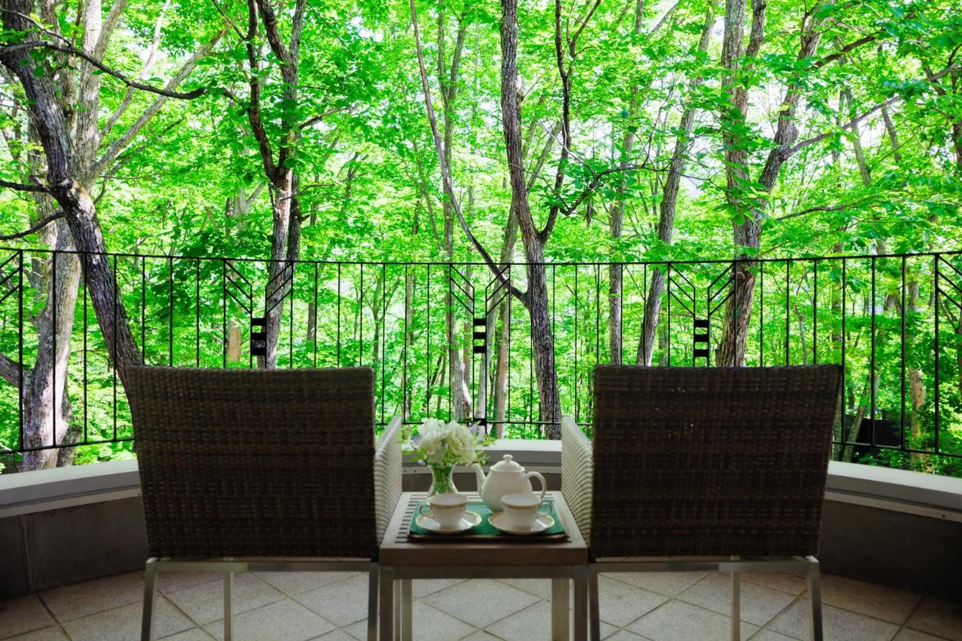Balcony/Terrace in Hotel La Neige