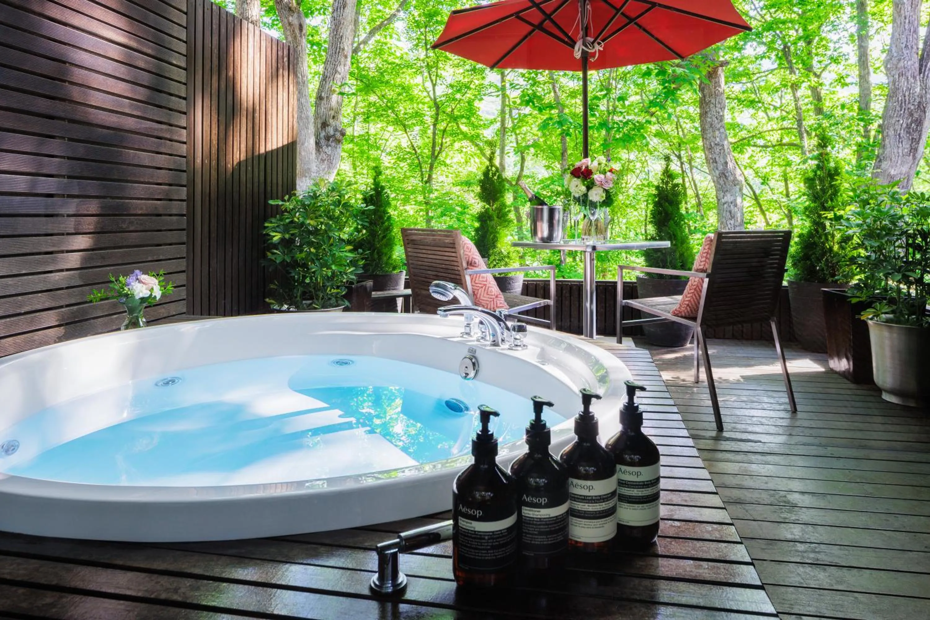 Balcony/Terrace in Hotel La Neige