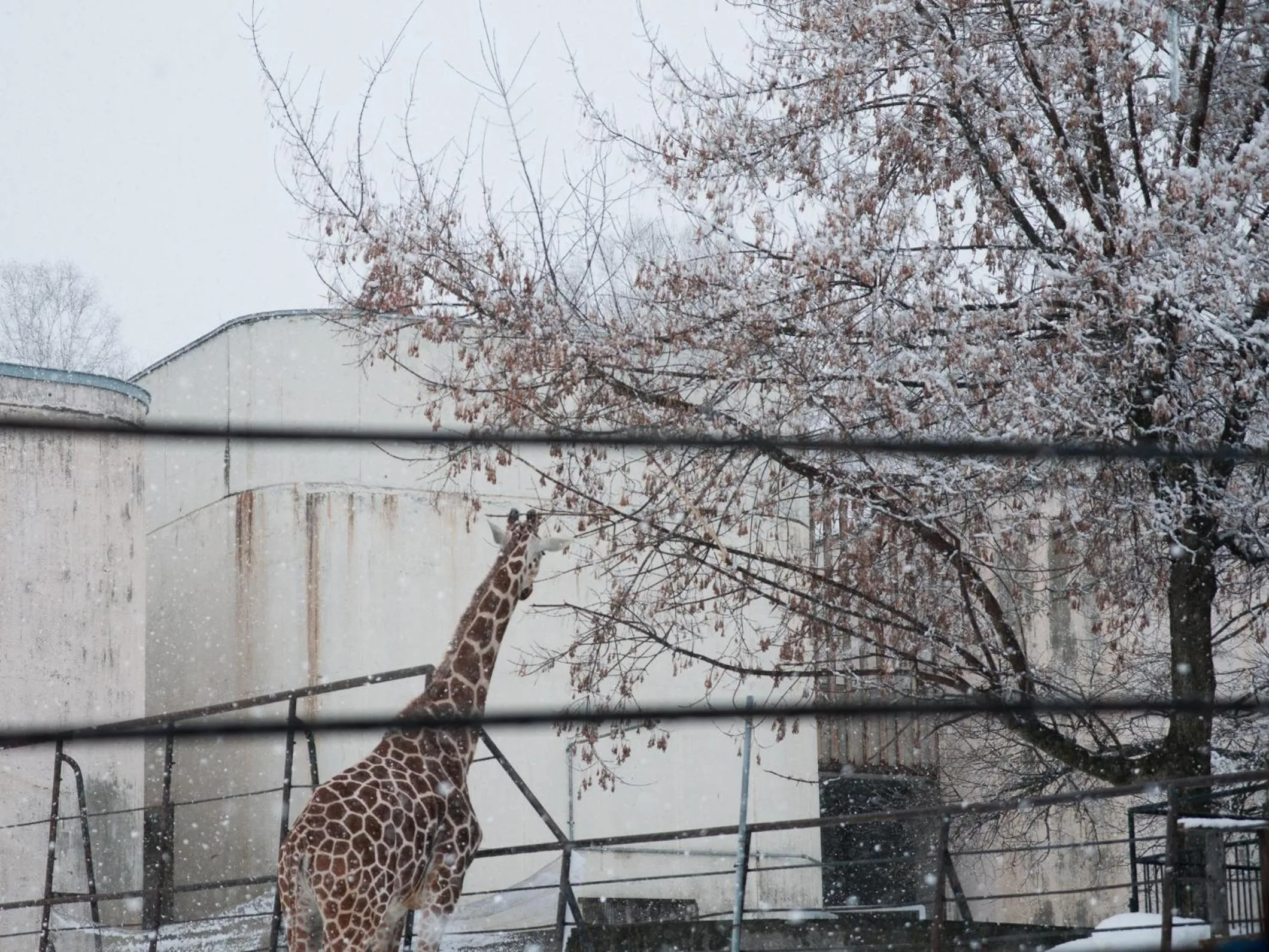 Super Hotel Asahikawa