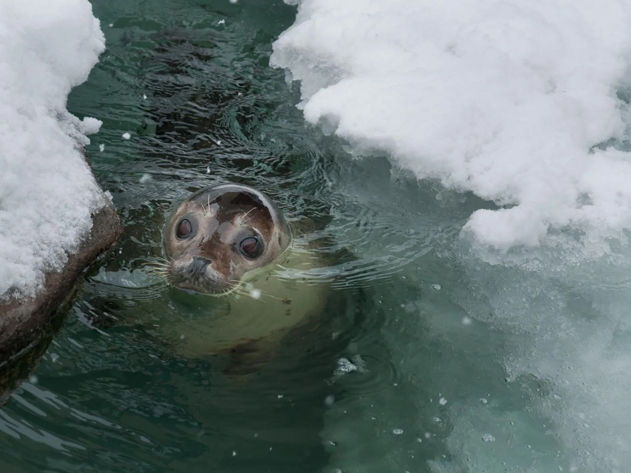 Super Hotel Asahikawa