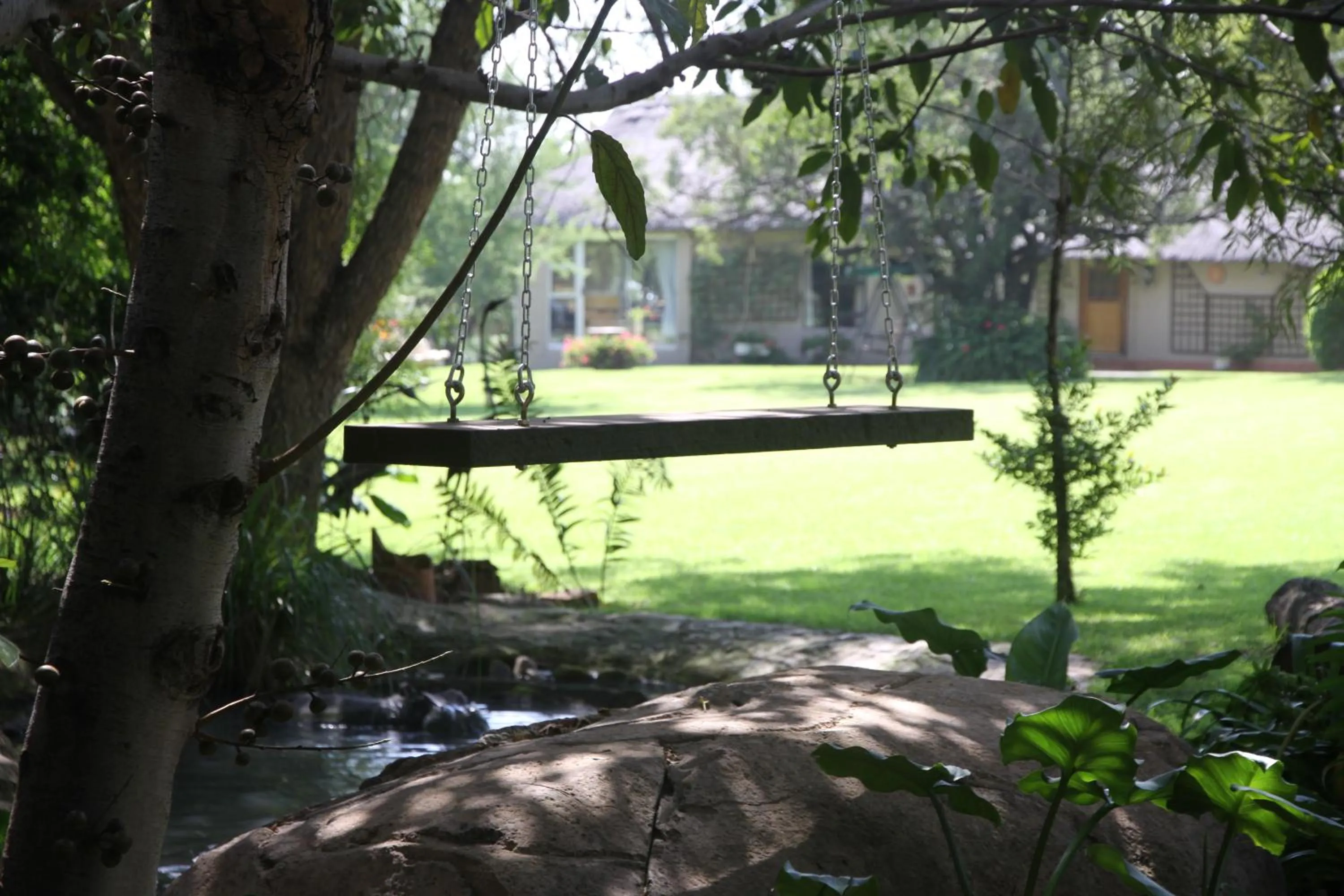 Garden view in Glenda's Guest Suites