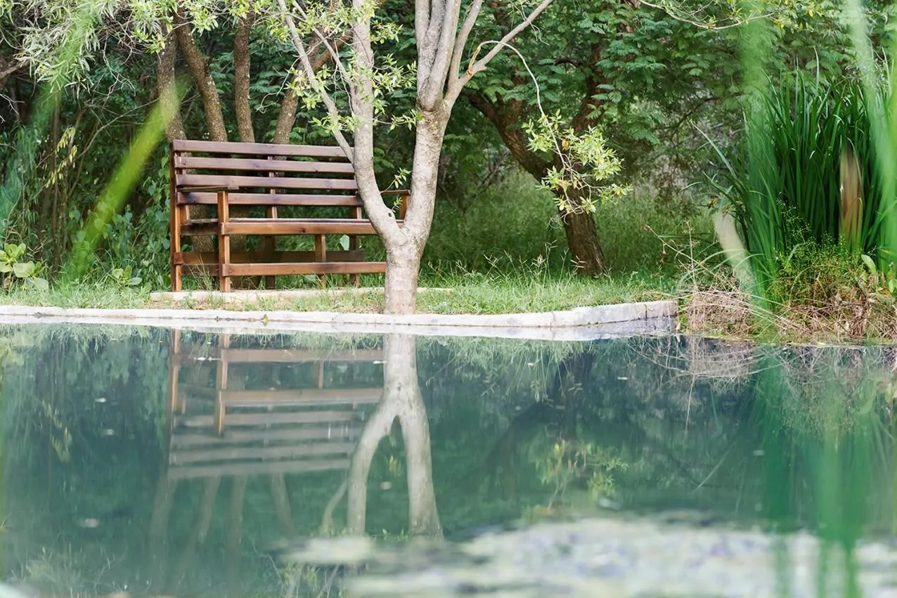 Natural landscape in Glenda's Guest Suites