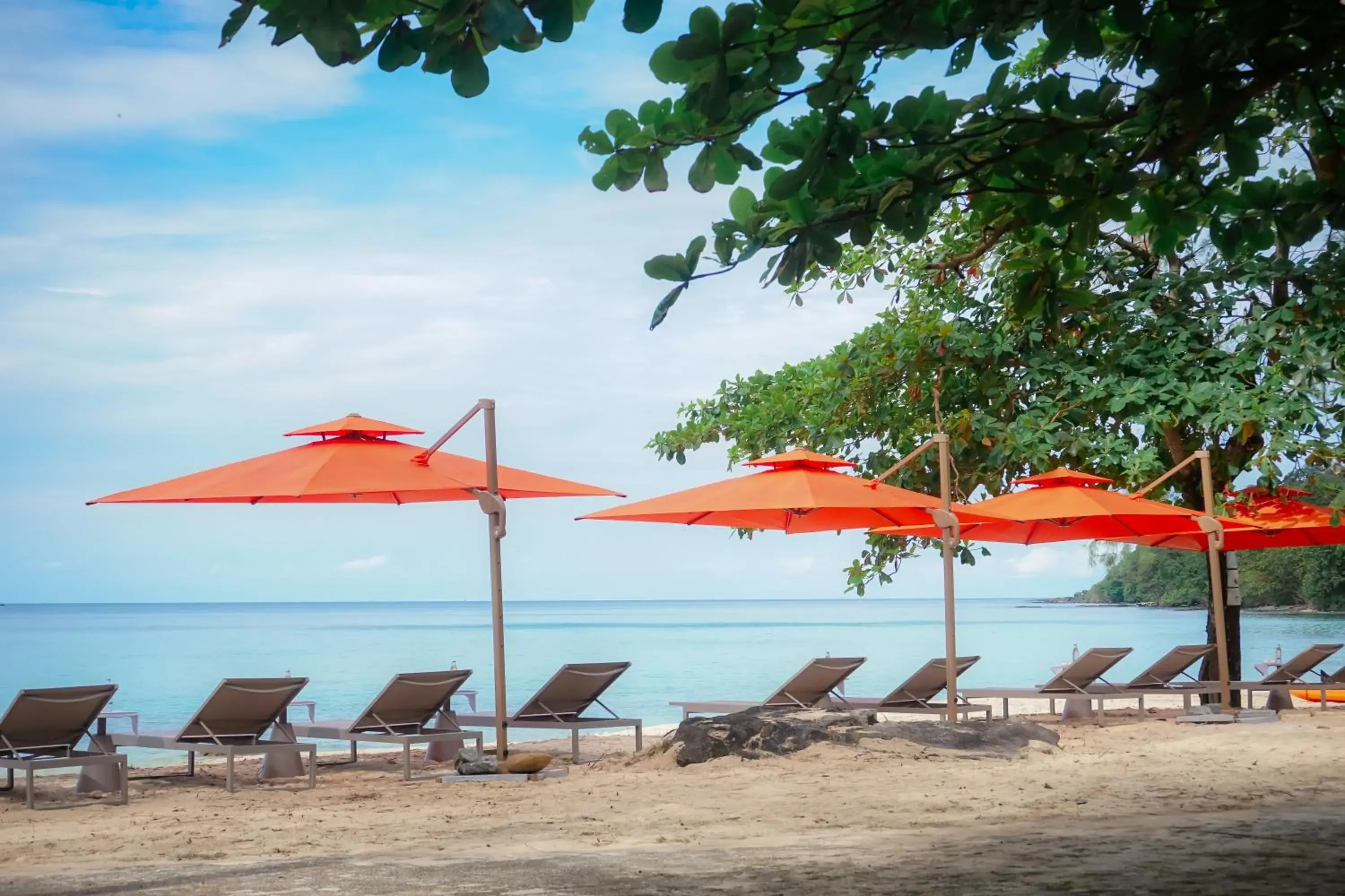 Ajinta Resort Ajinta Resort