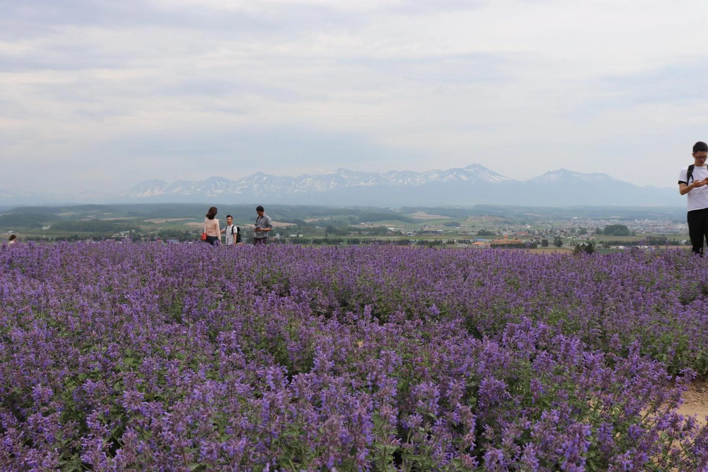 Nearby landmark in Hostel Tomar