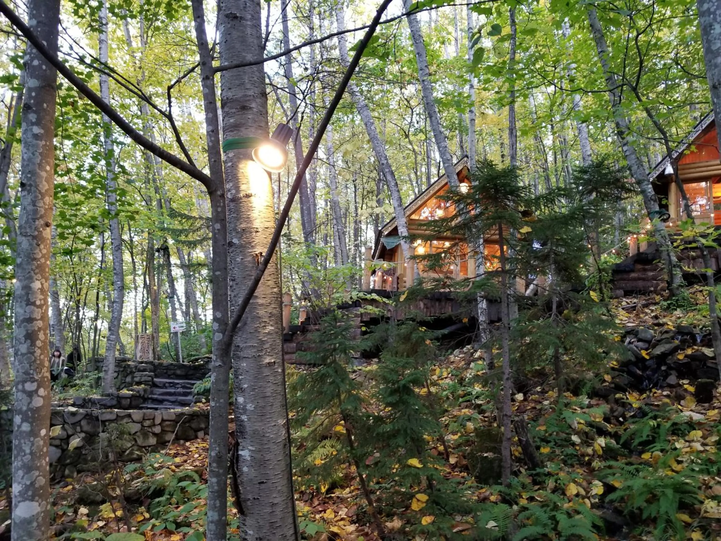 Nearby landmark in Hostel Tomar