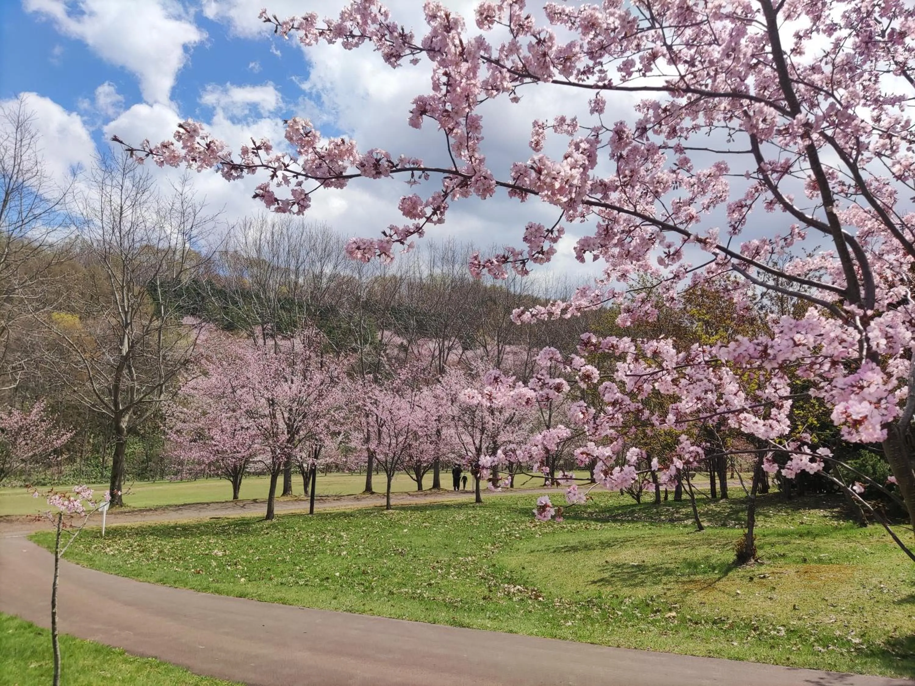 Nearby landmark in Hostel Tomar