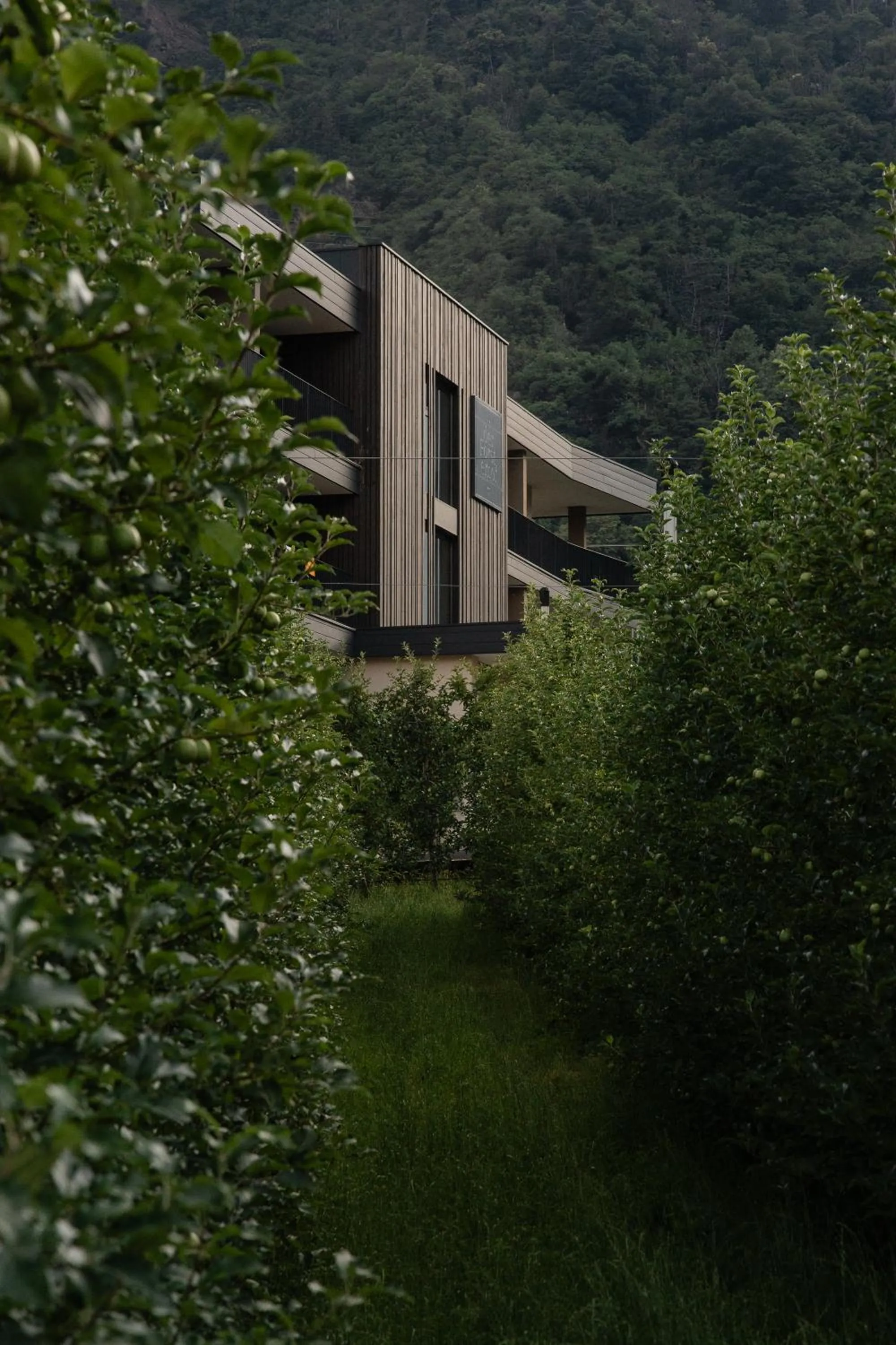 Natural landscape in Garni-Hotel Der Forsterhof