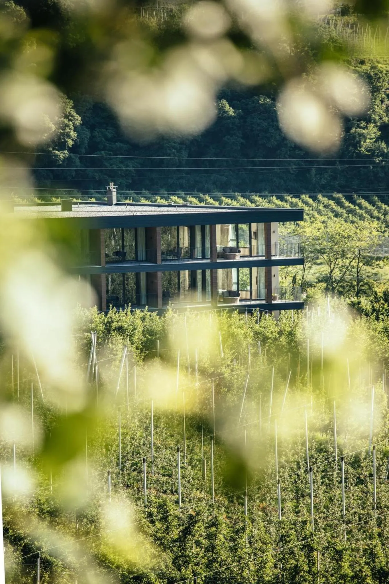 Property building in Garni-Hotel Der Forsterhof