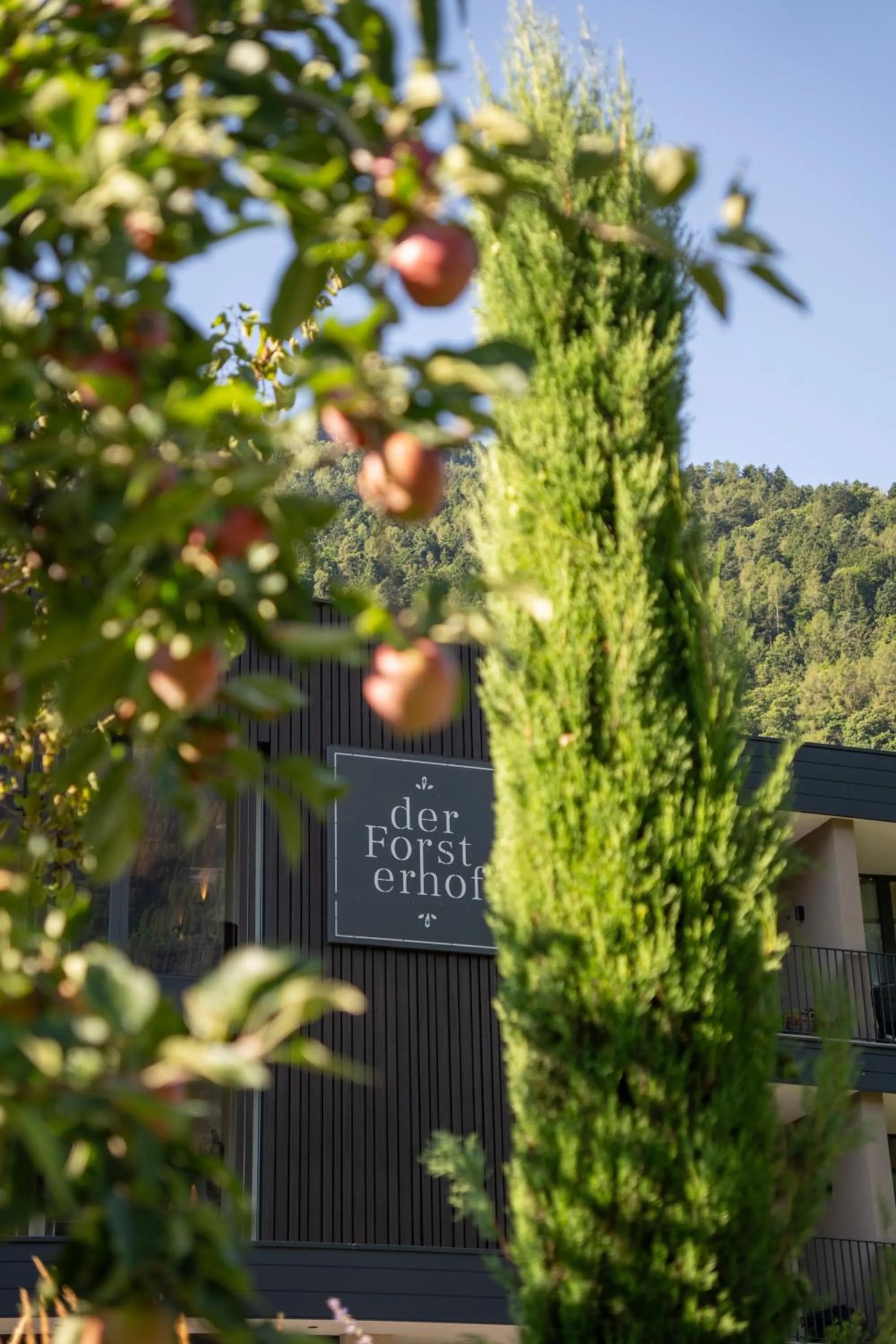 Property building in Garni-Hotel Der Forsterhof