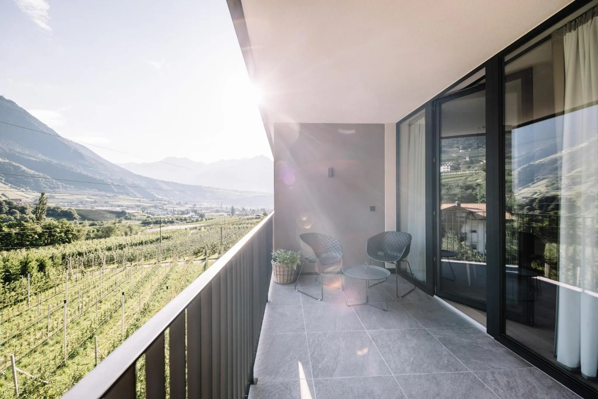 Balcony/Terrace in Garni-Hotel Der Forsterhof