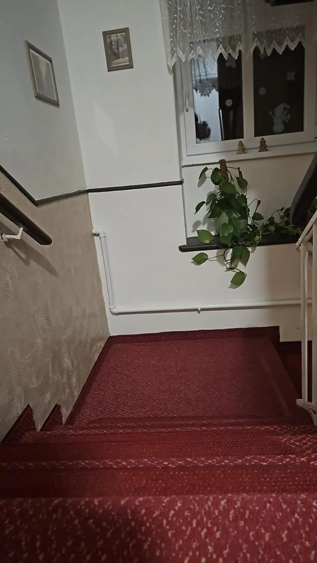 Property building in Hostel Fortuna
