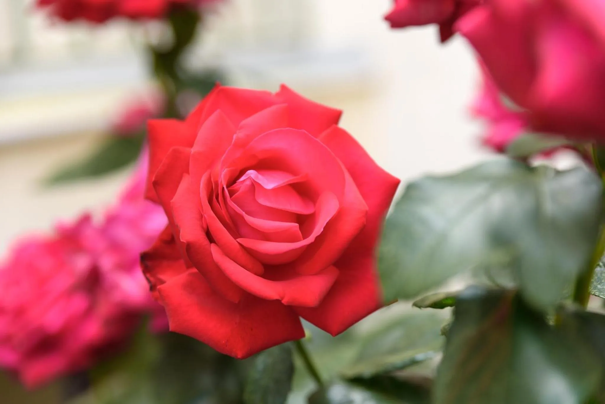 Spring in Kyveli Hotel Apartments