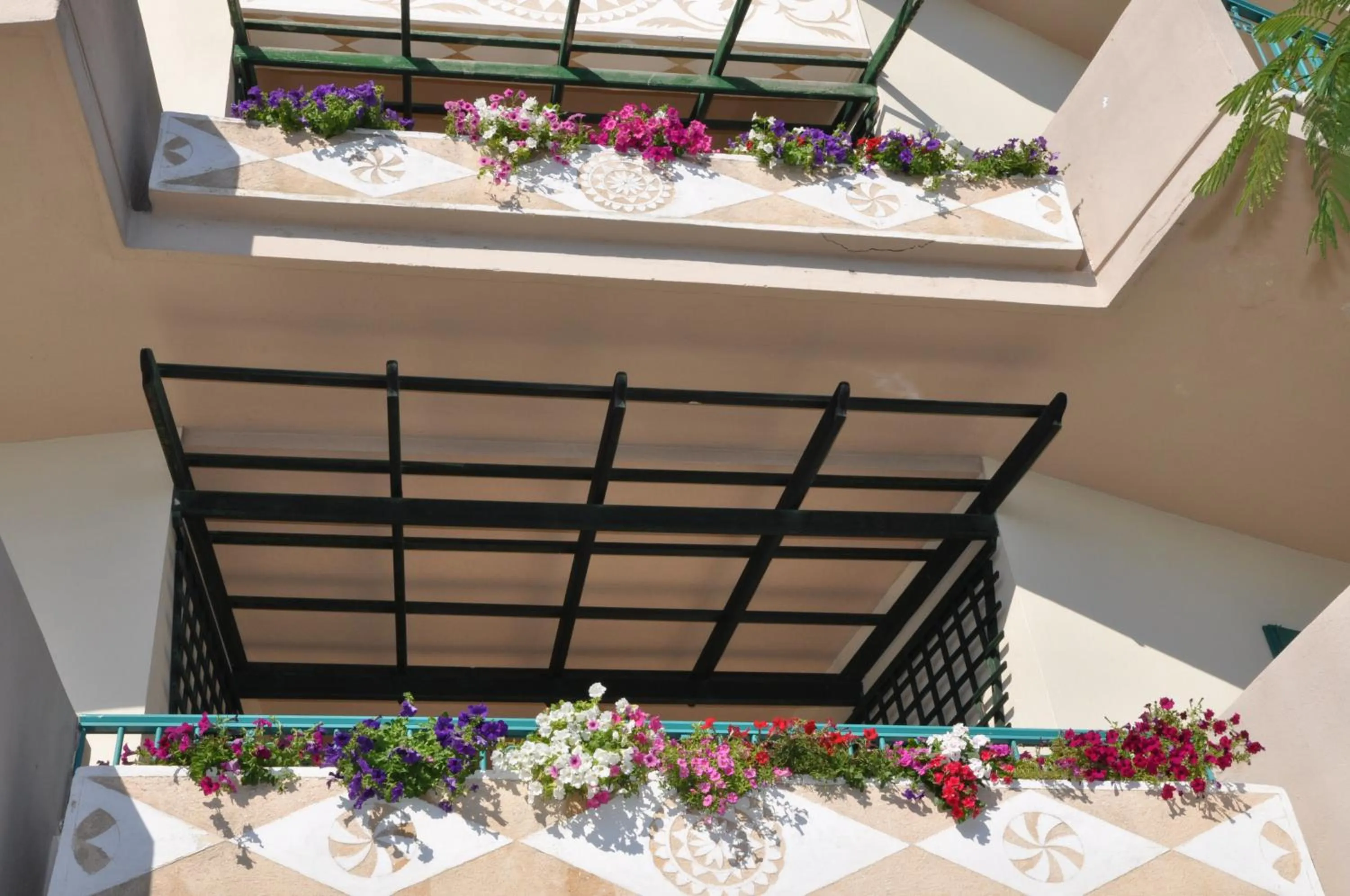 Balcony/Terrace in Kyveli Hotel Apartments