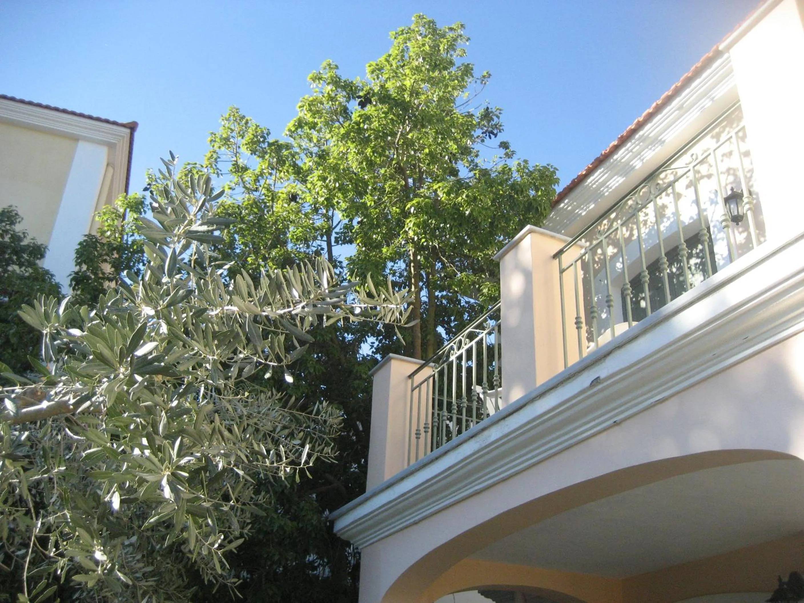 Decorative detail in Kyveli Hotel Apartments