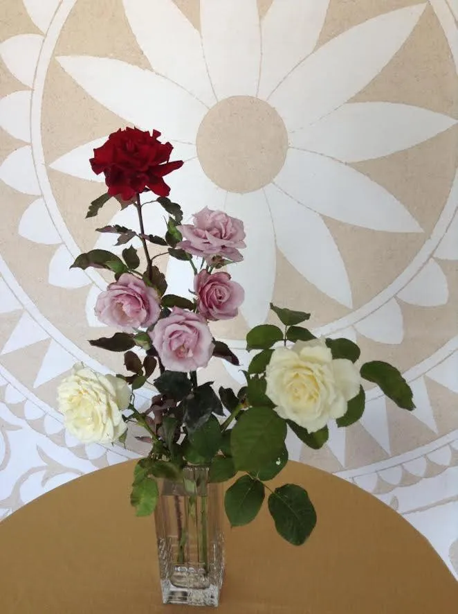 Communal lounge/ TV room in Kyveli Hotel Apartments