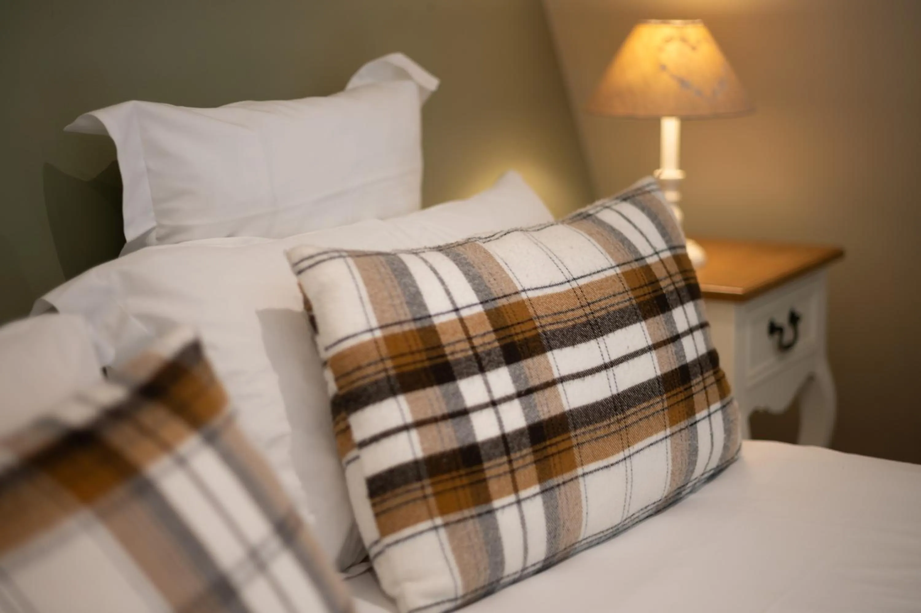 Decorative detail, Bed in Hôtel La Couleuvrine Sarlat Centre Ville