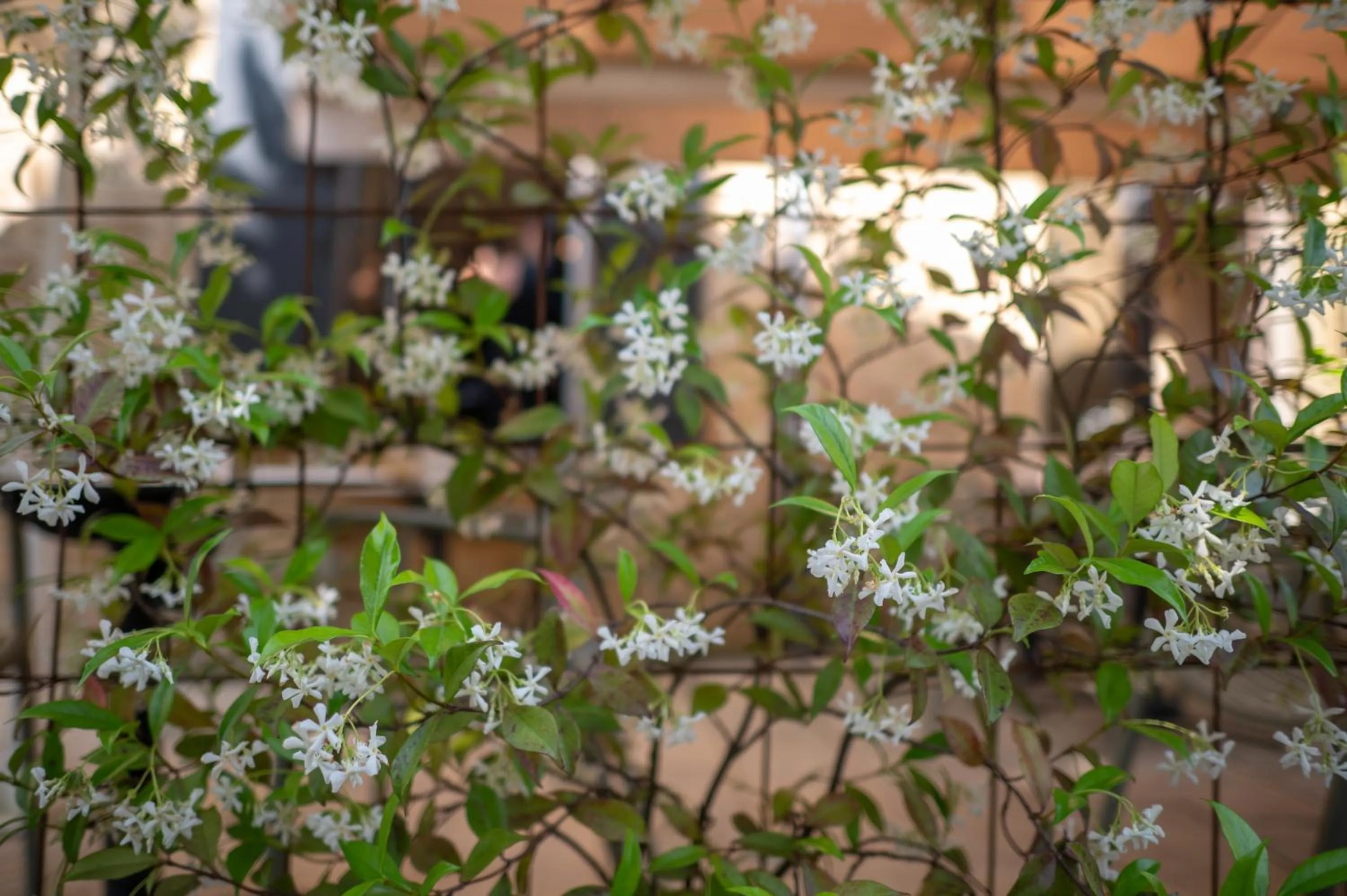 Restaurant/places to eat in Hôtel La Couleuvrine Sarlat Centre Ville