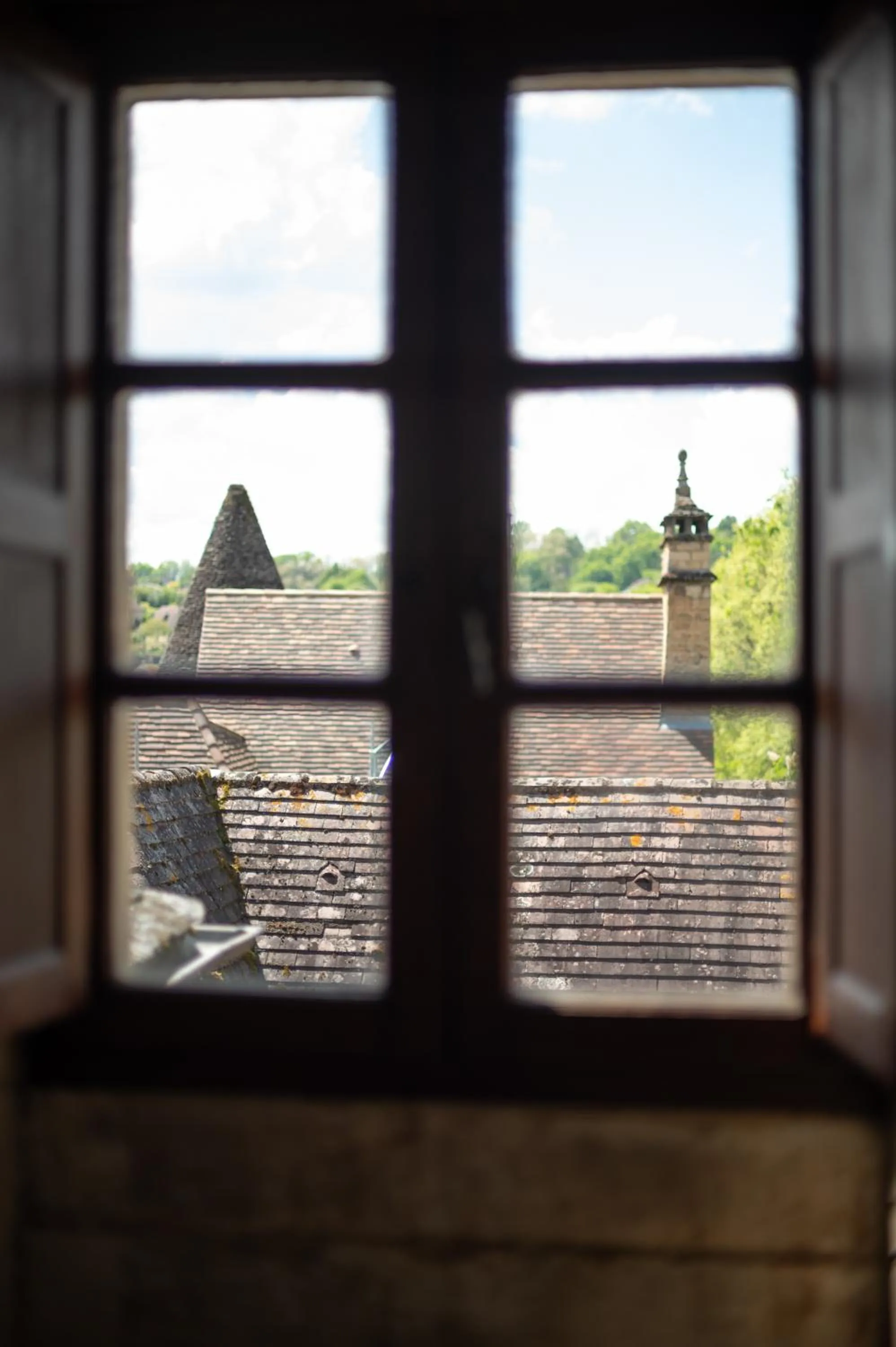 View (from property/room) in Hôtel La Couleuvrine Sarlat Centre Ville