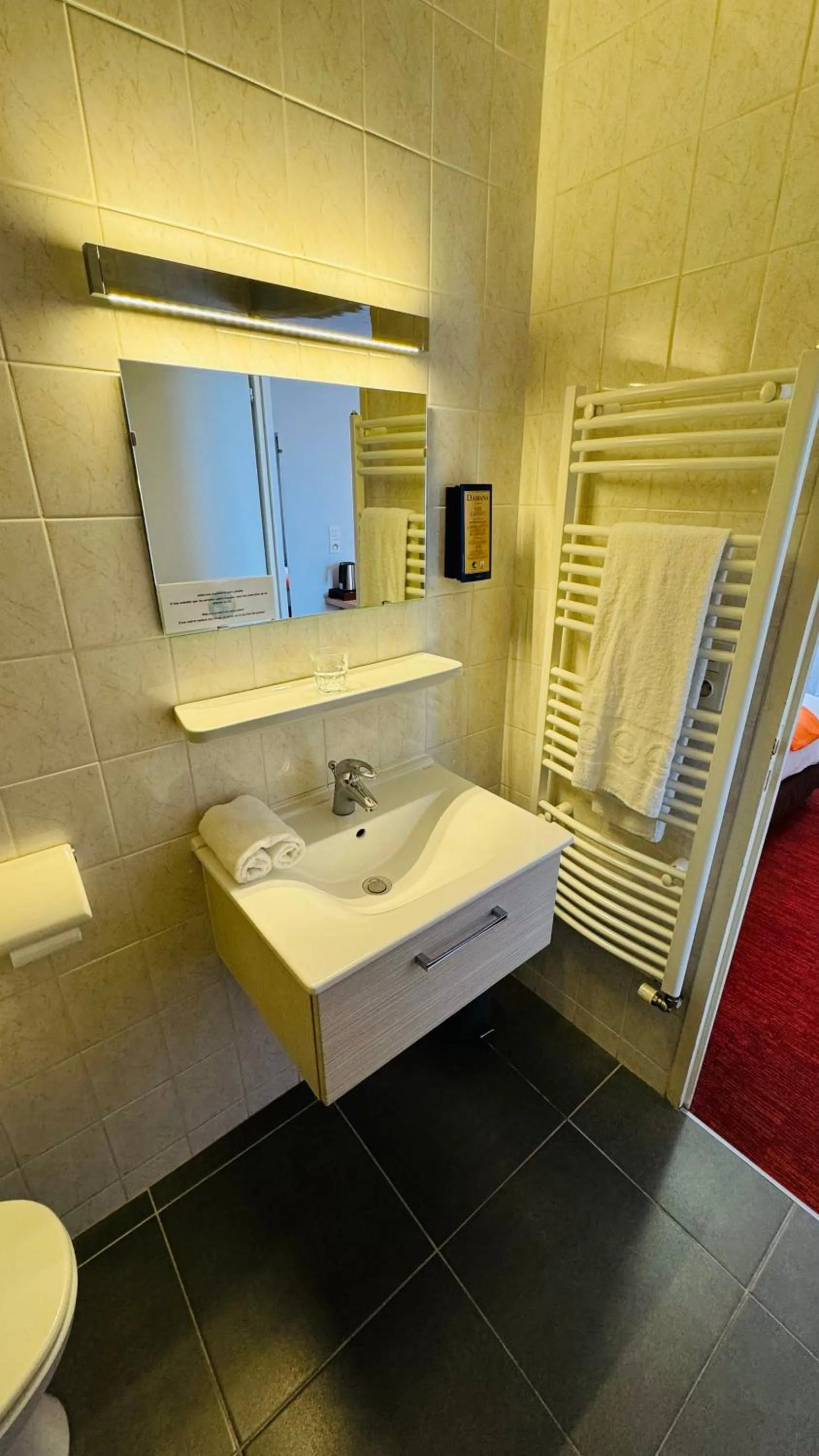 Toilet in La Terrasse Fleurie, Logis, Hôtel et Restaurant