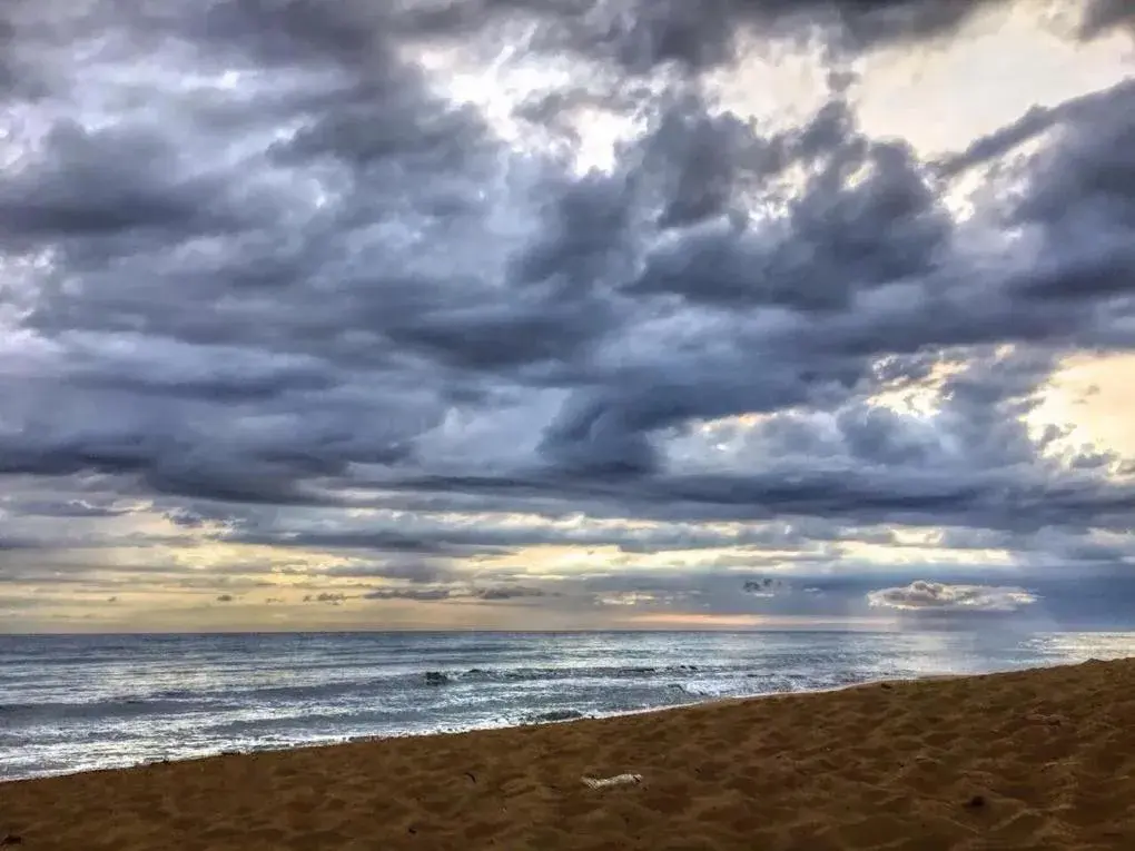Beach in Masseria Pelosella B&B Beach in Masseria Pelosella B&B