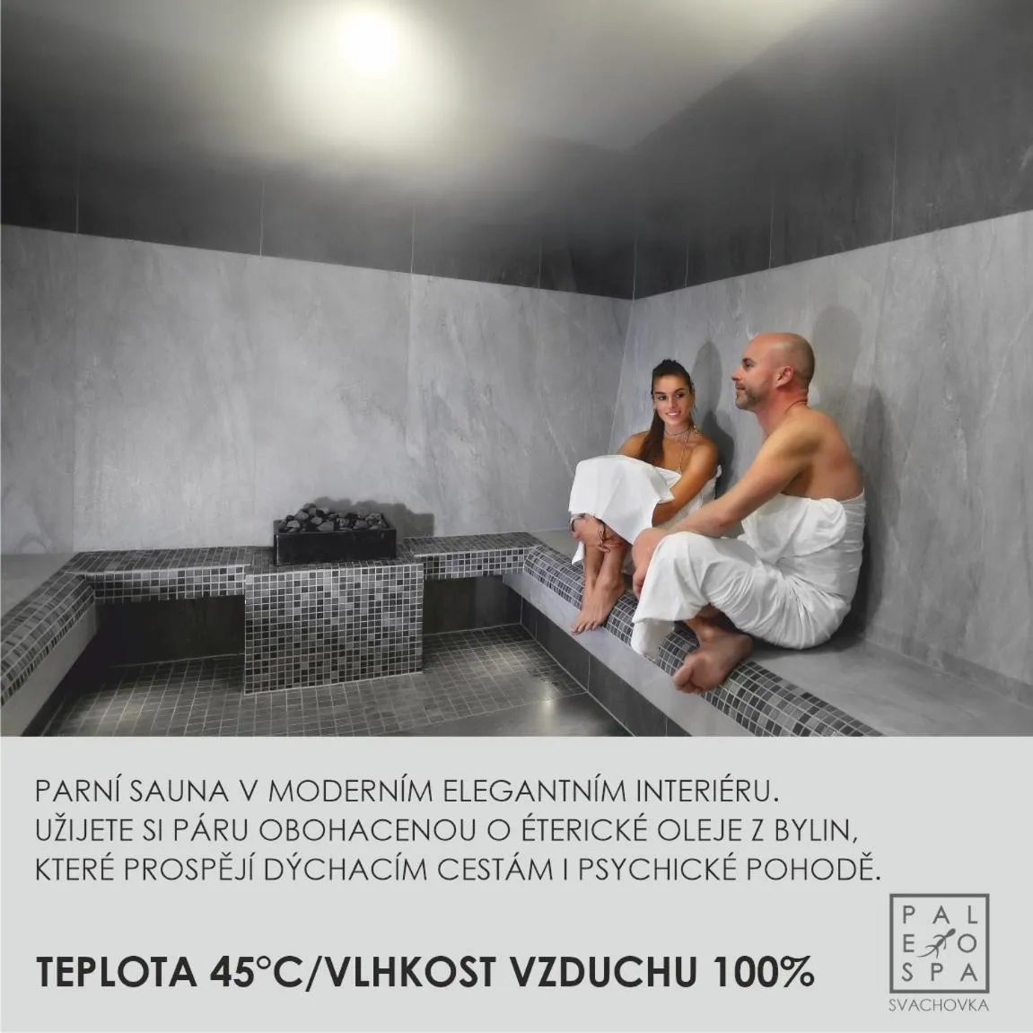 Spa and wellness centre/facilities in Wellness Hotel Svachovka