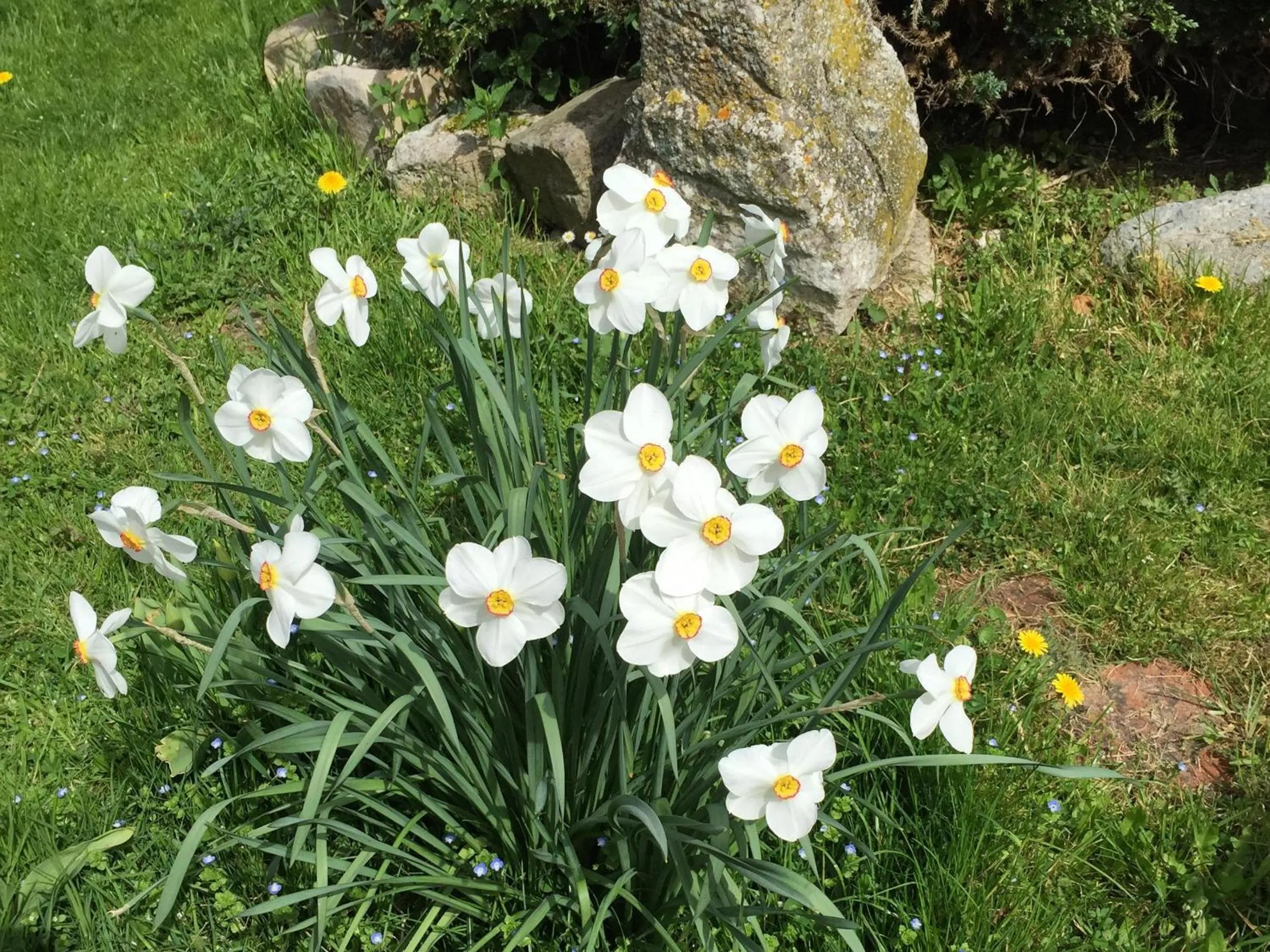 Property building in La Ferme des Moulineaux