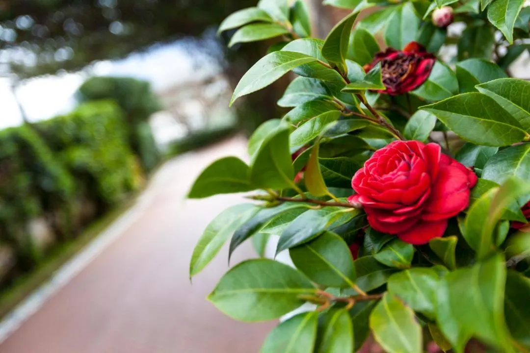 Garden in Na' Poesia B&B di Charme