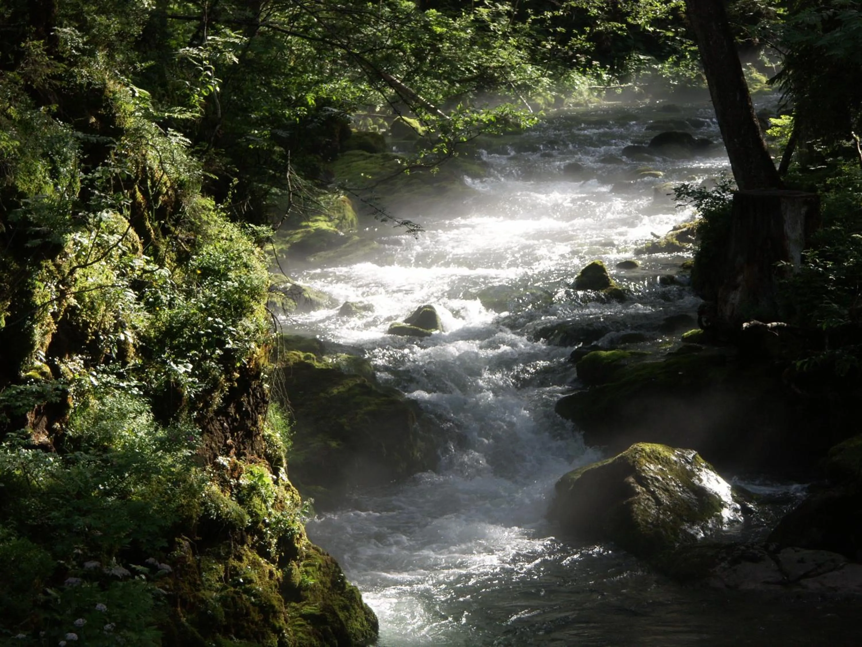 Facade/entrance in Hotel Almhof Rupp