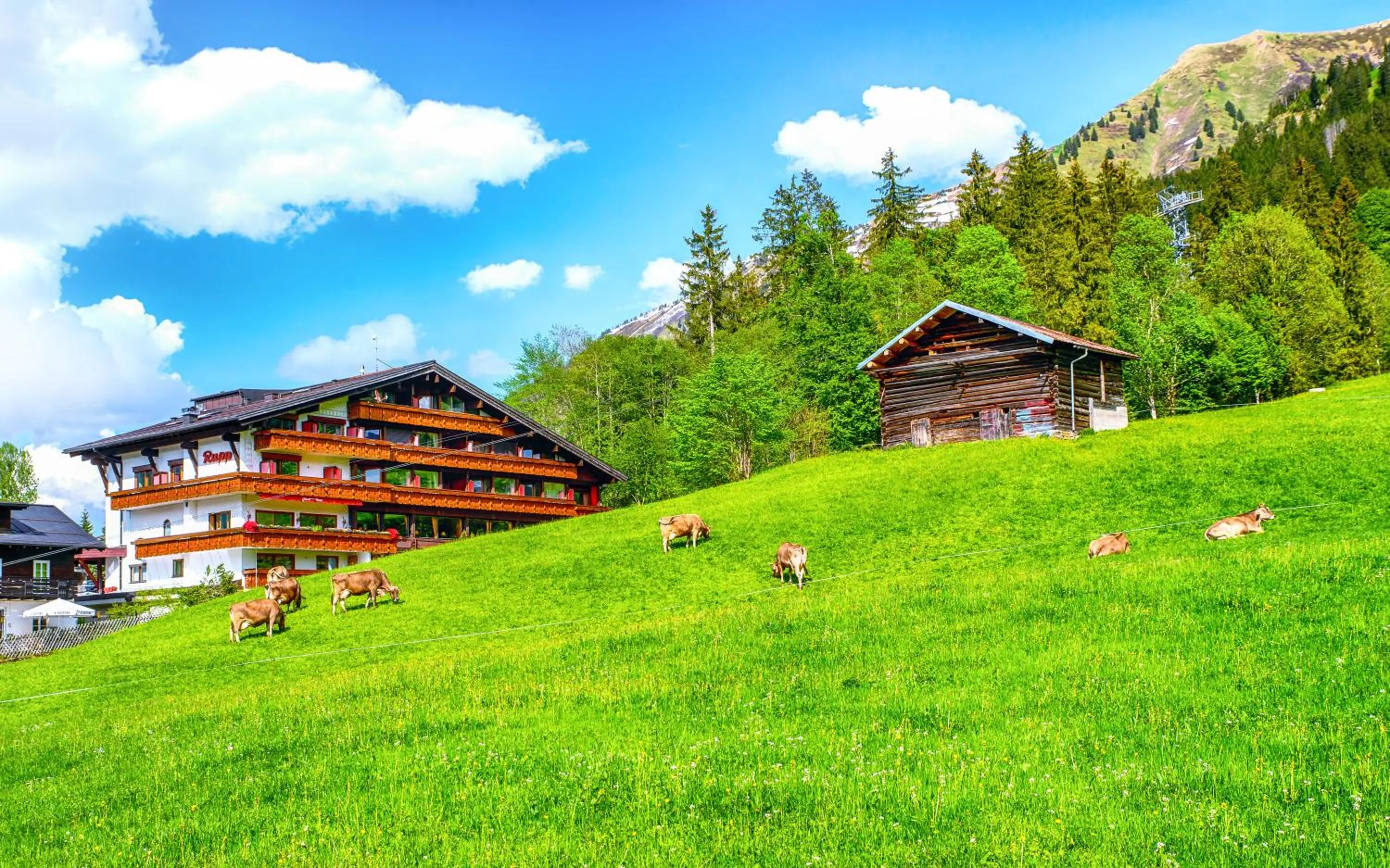 Property building in Hotel Almhof Rupp