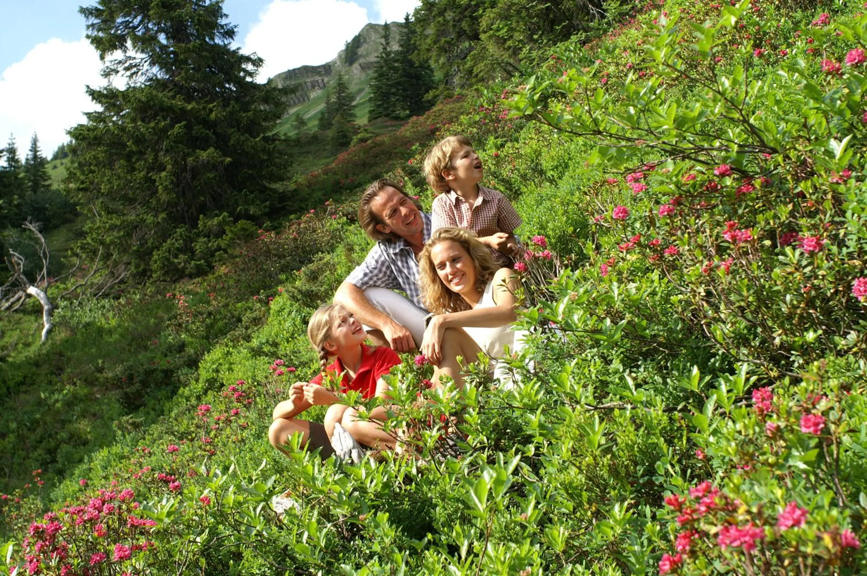 Area and facilities in Hotel Almhof Rupp