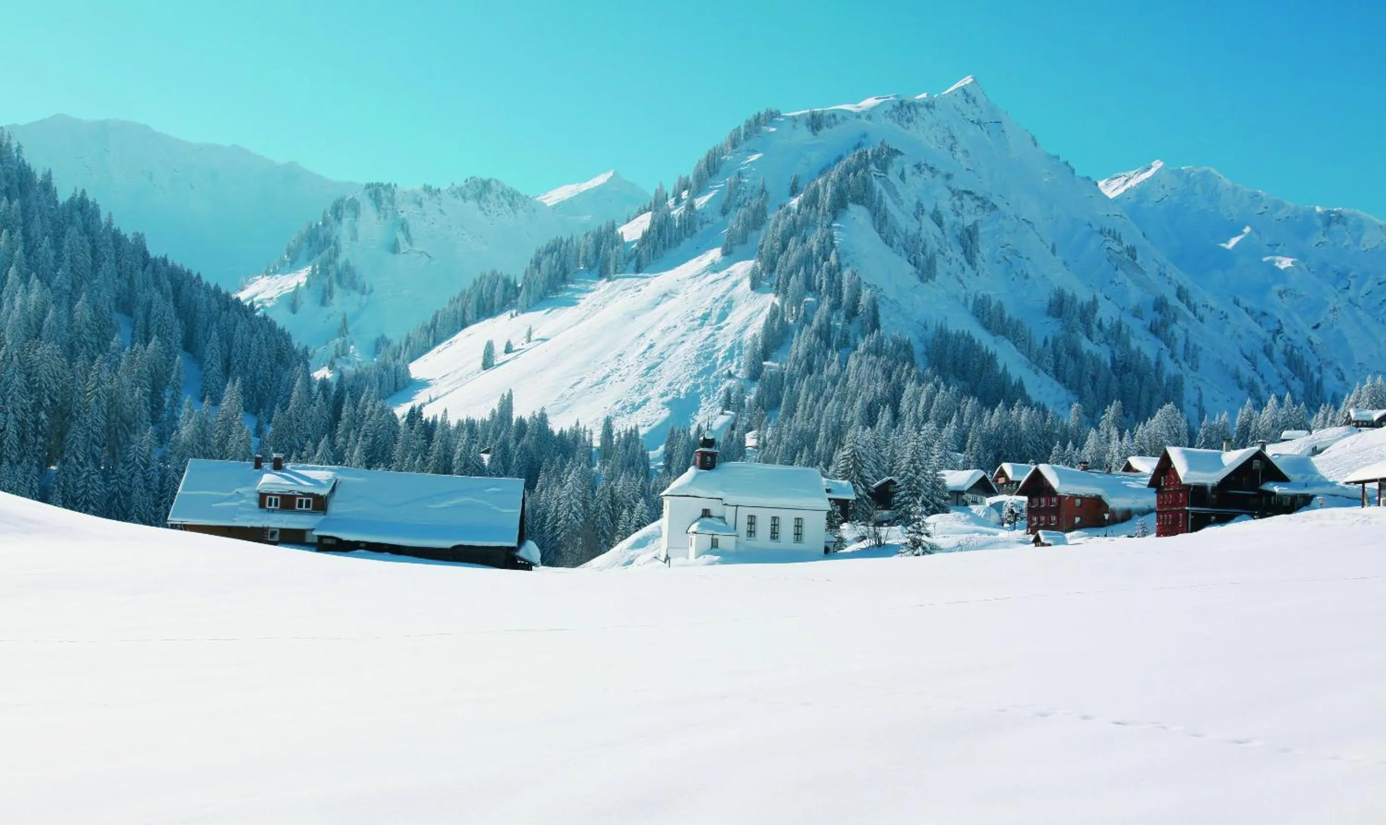 Area and facilities in Hotel Almhof Rupp