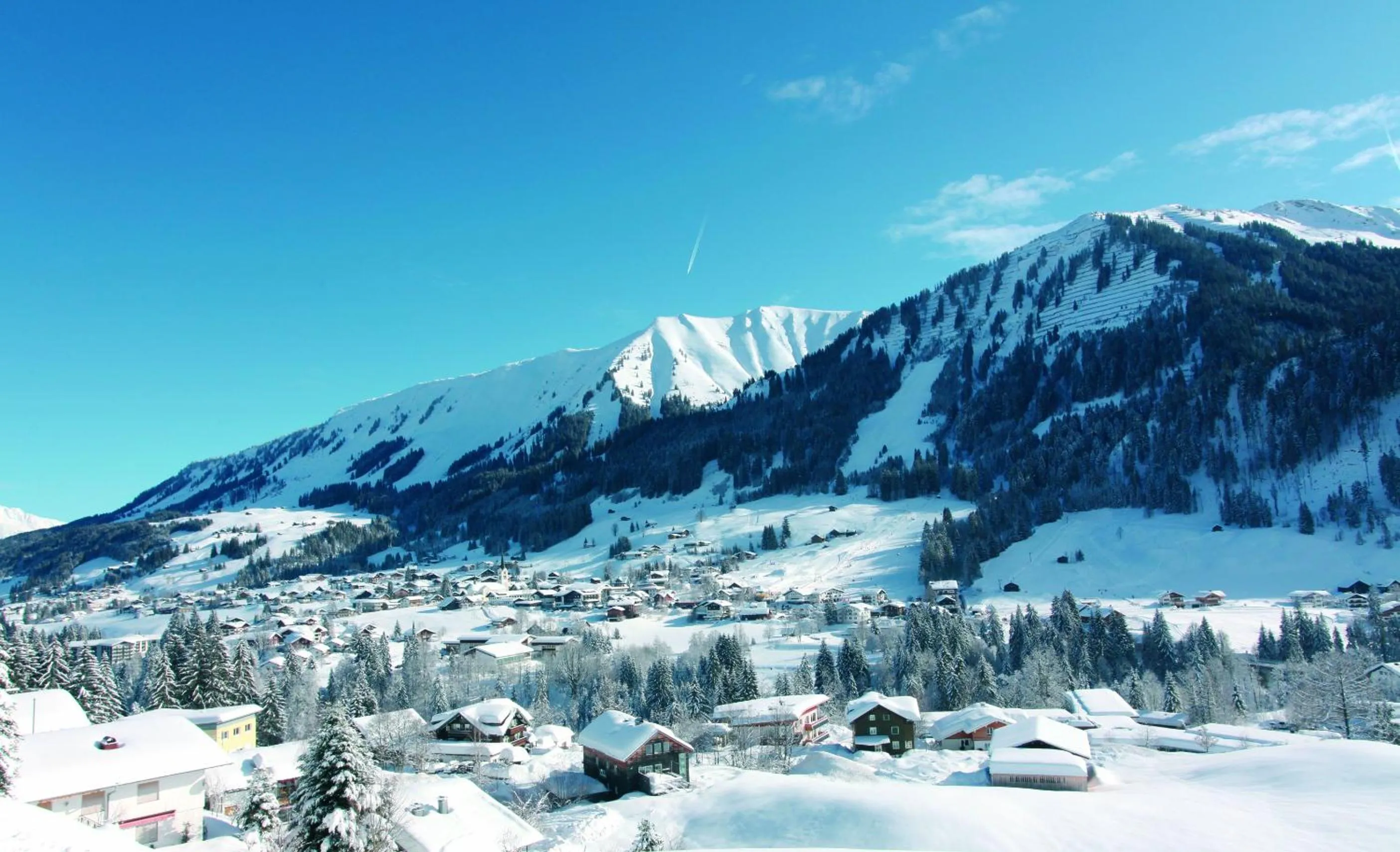 Area and facilities in Hotel Almhof Rupp