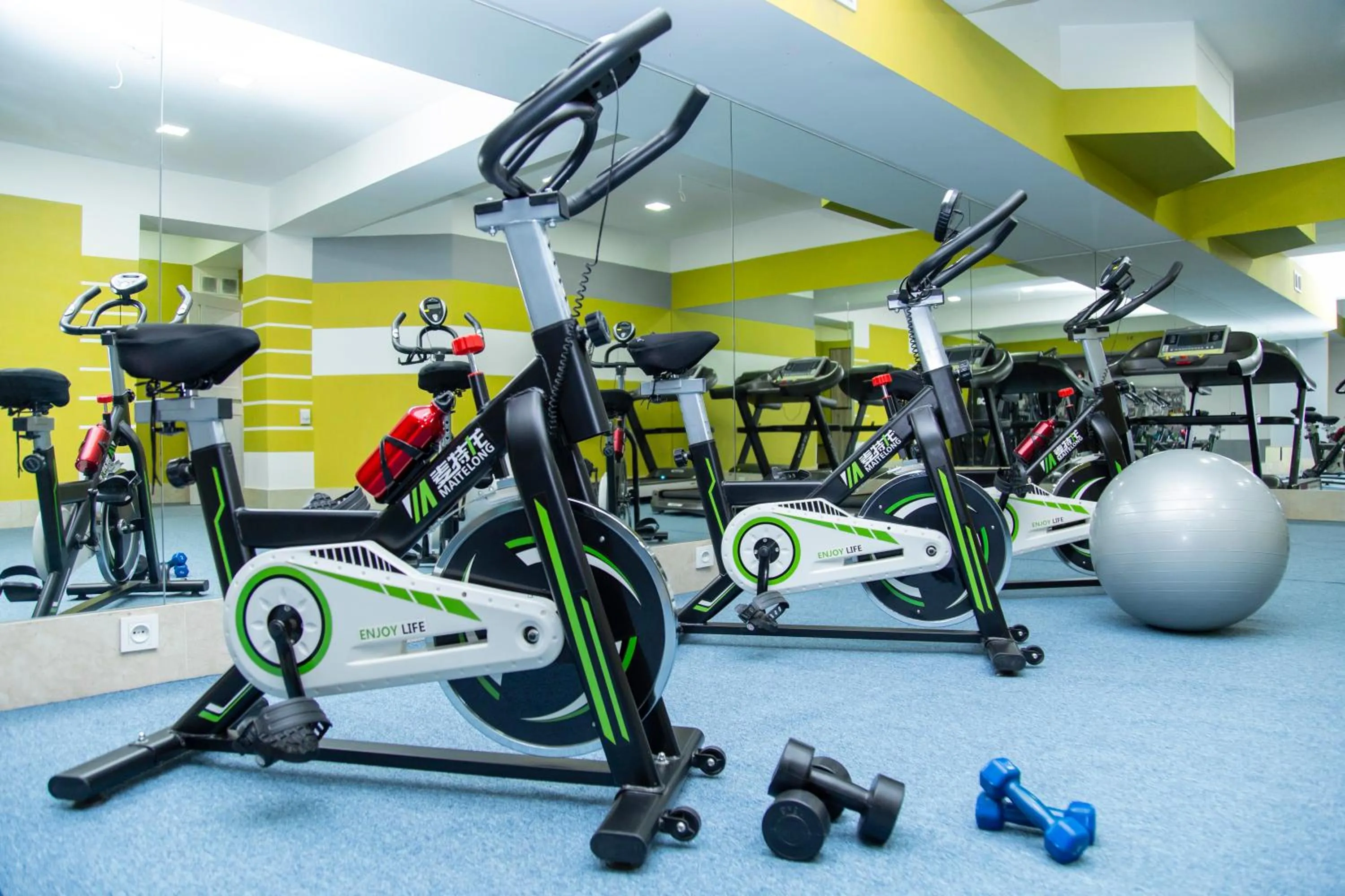 Fitness centre/facilities in DiliMah Premium Luxury