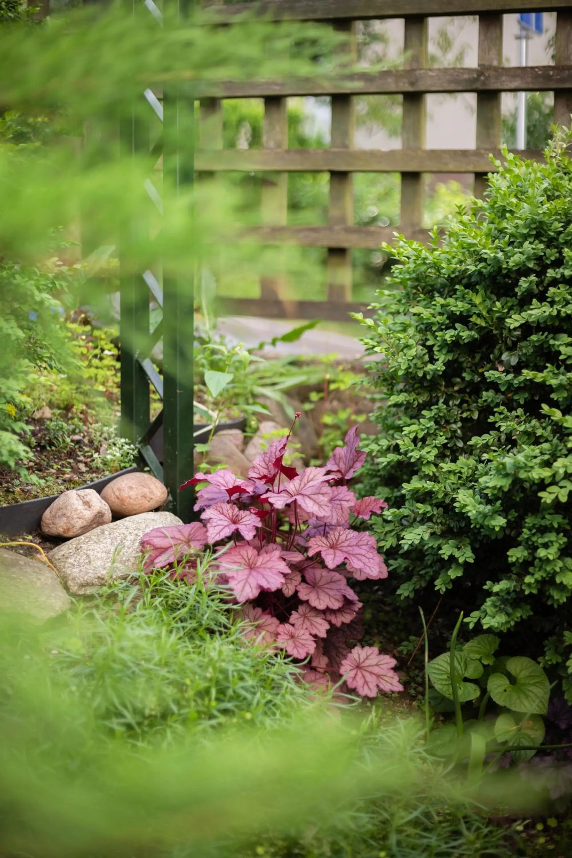 Garden in House of Sun