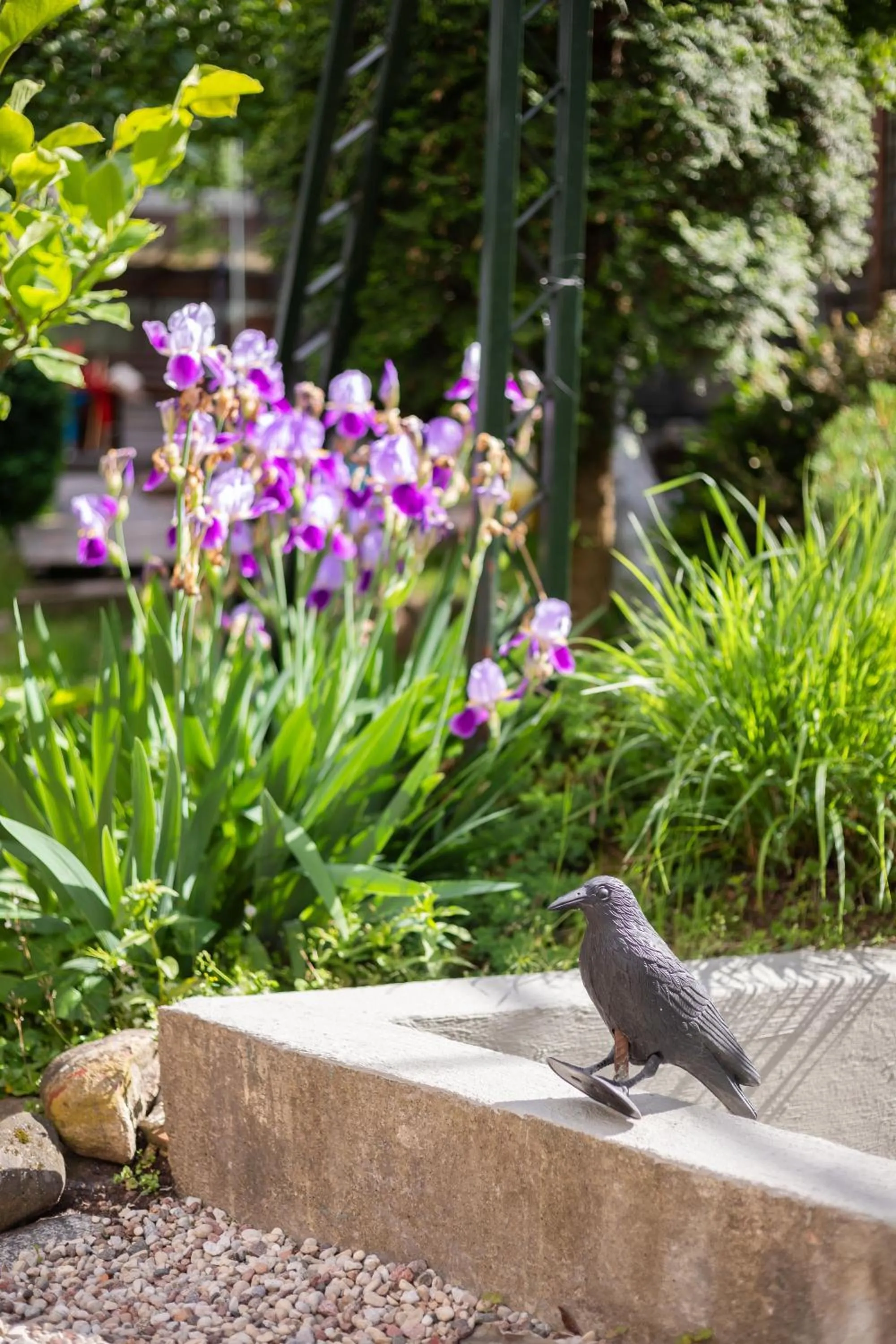 Garden in House of Sun