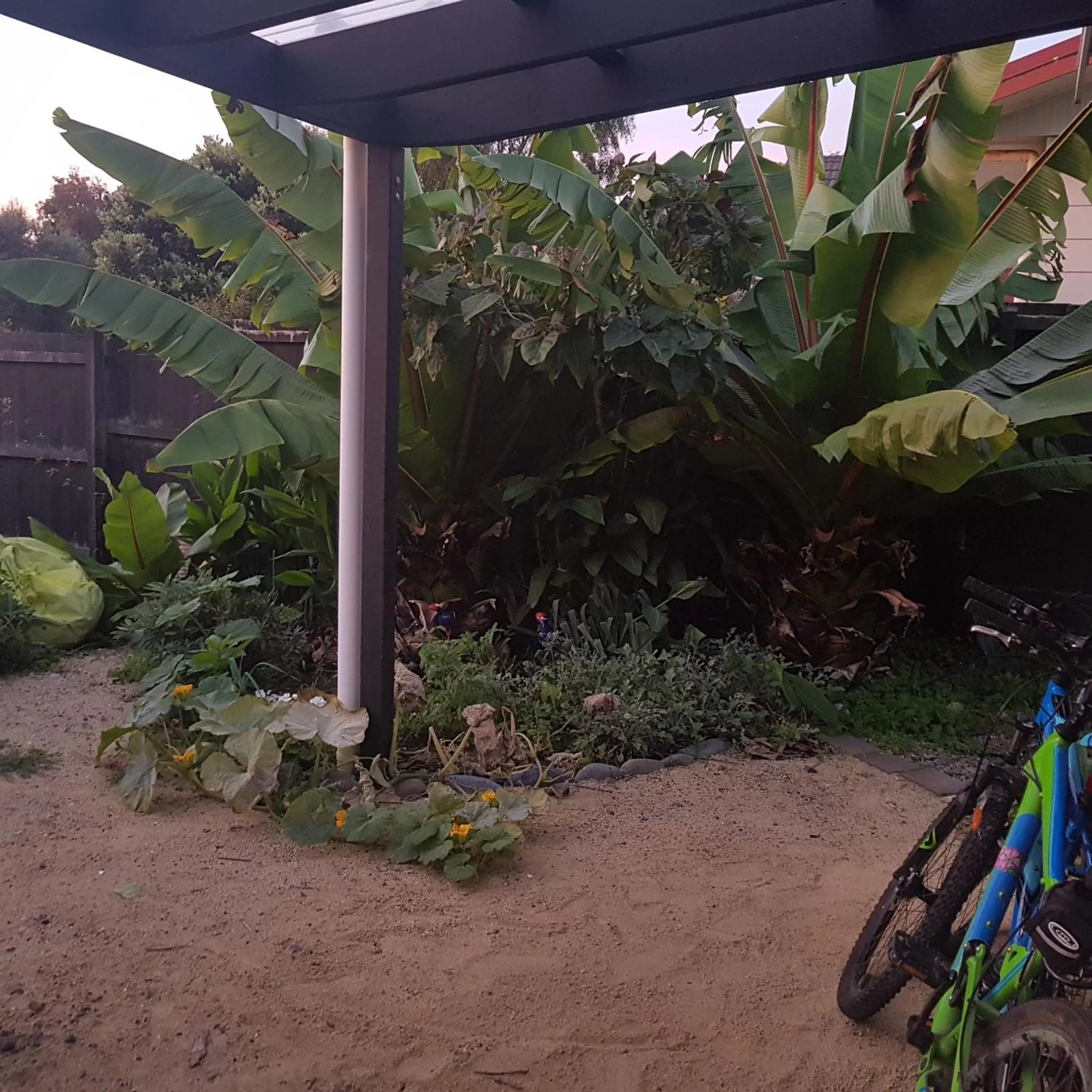 Patio in Near the shore