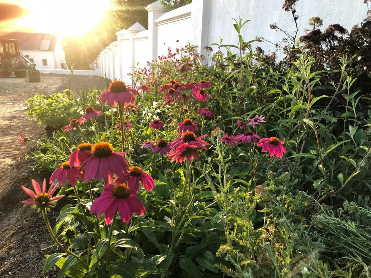Garden in La Cotte Orchard Cottages
