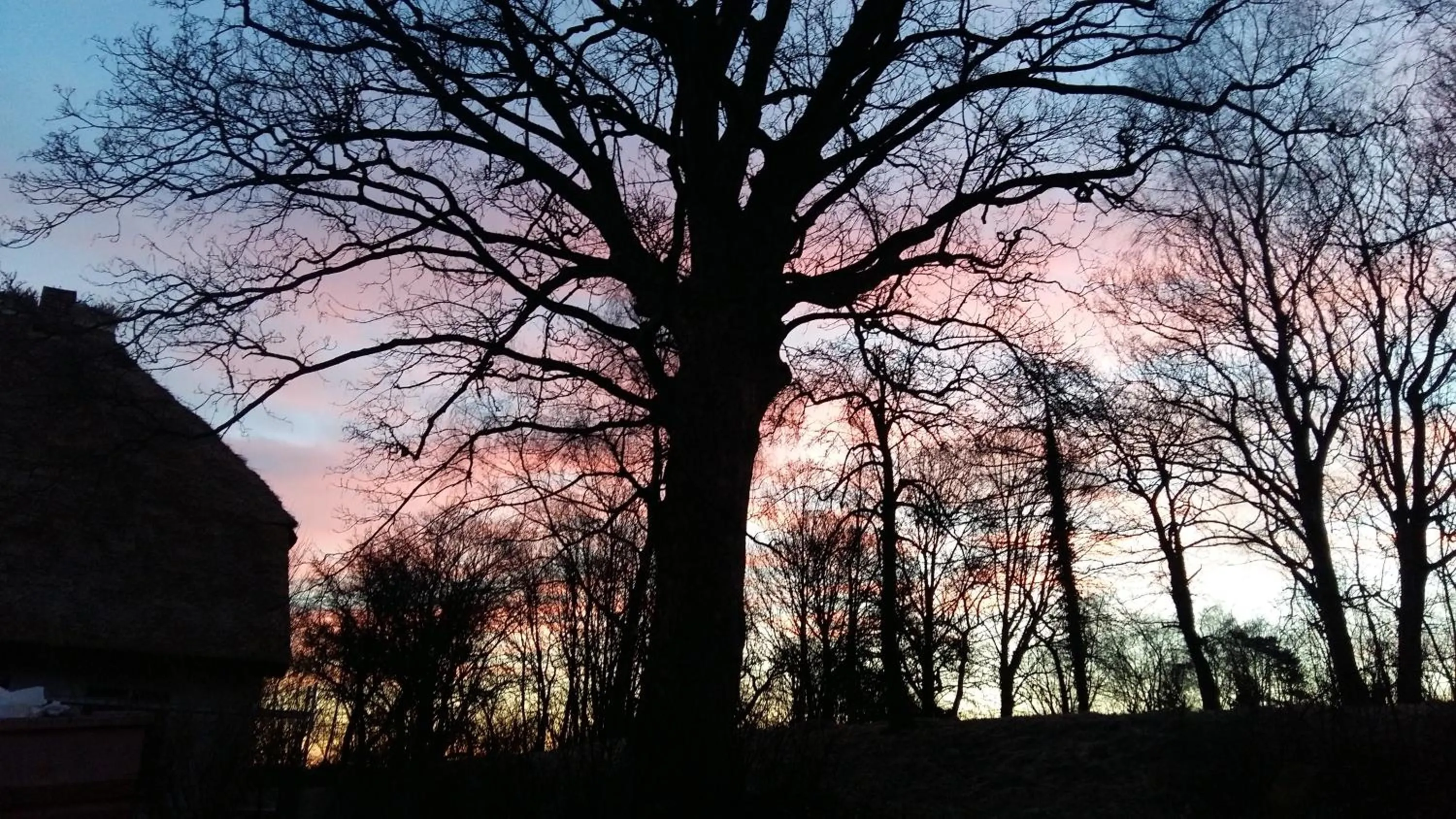 Garden in Altes Pfarrhaus