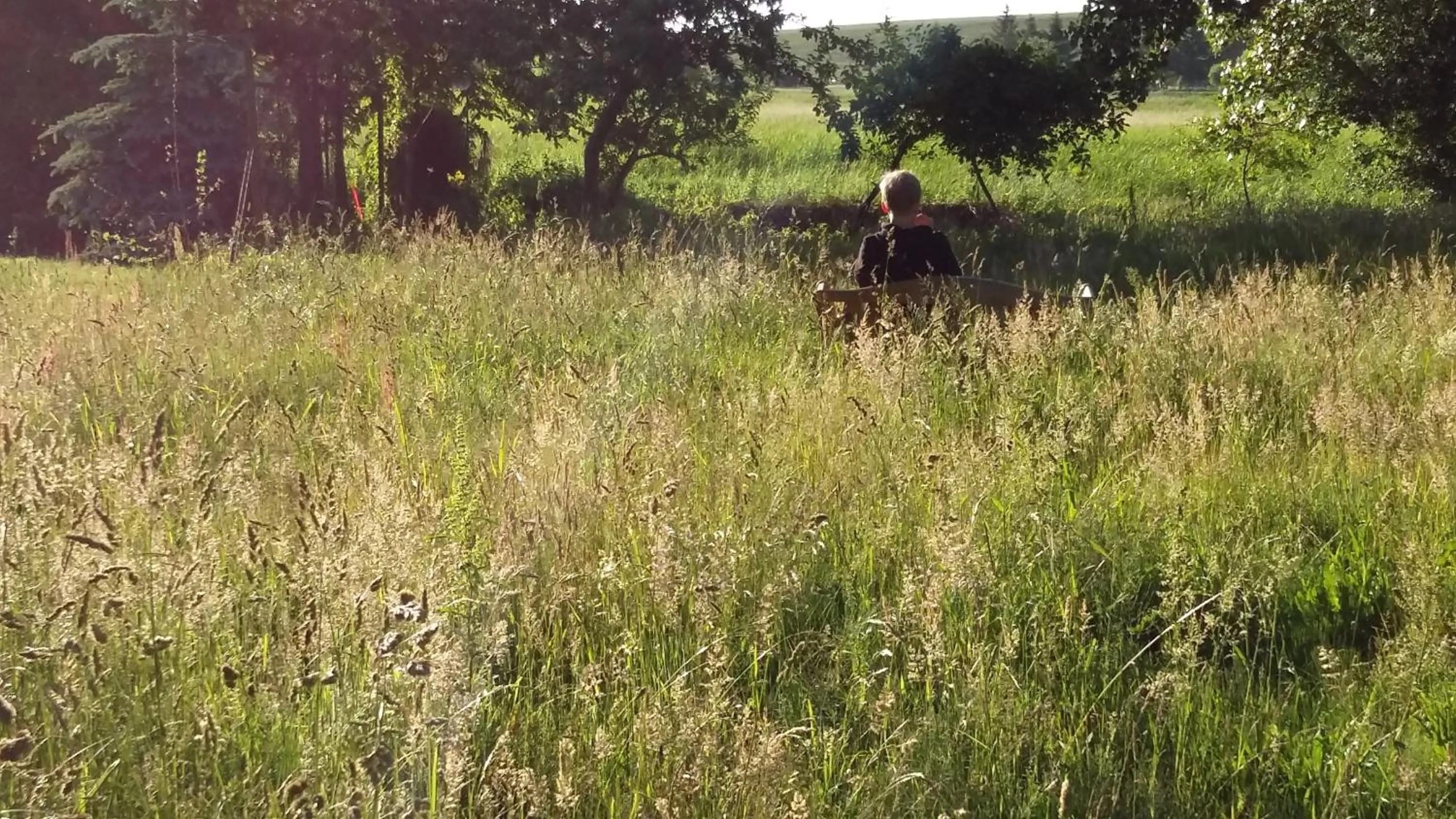Garden in Altes Pfarrhaus