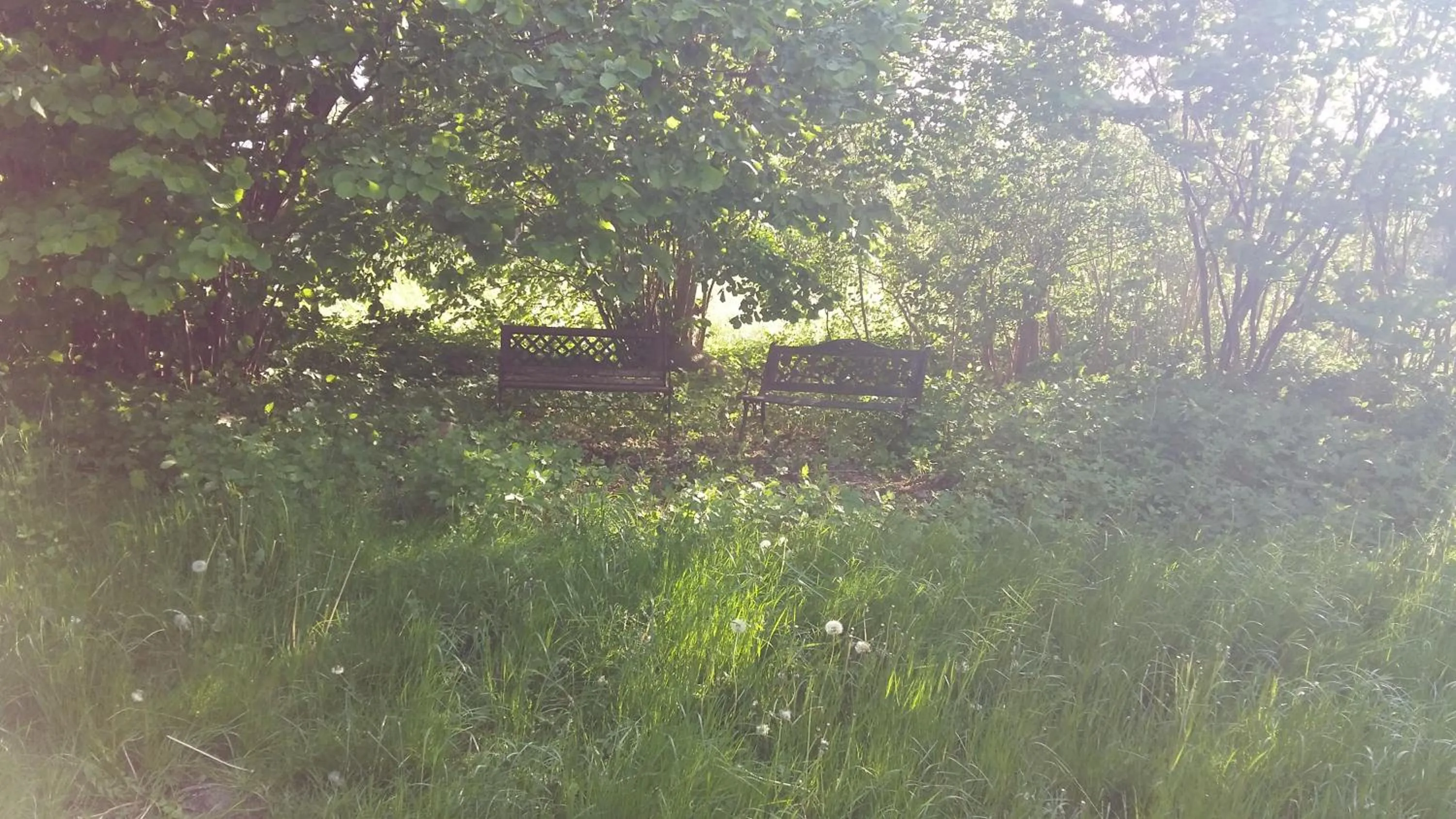 Garden in Altes Pfarrhaus