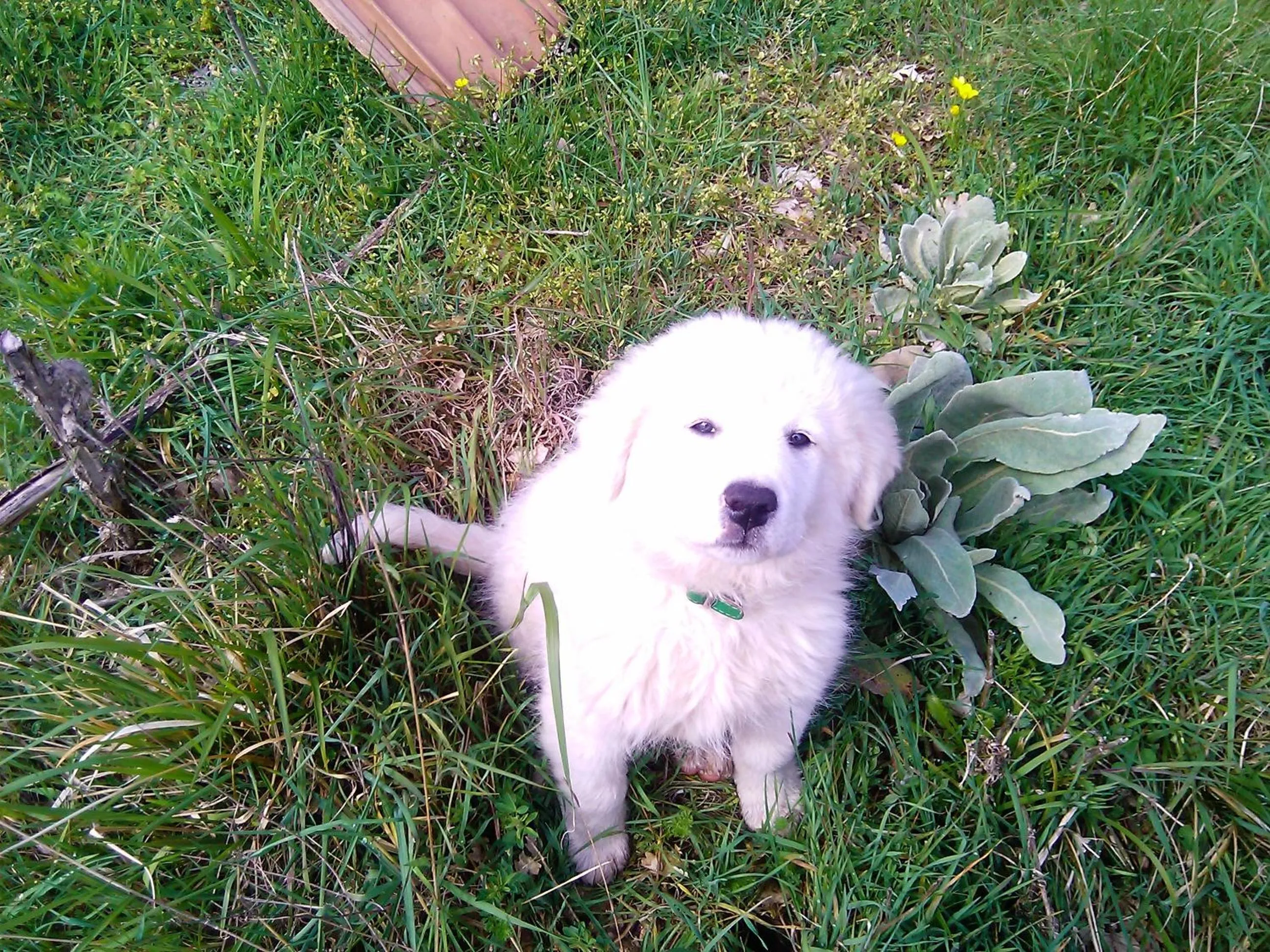 Spring in B&B Il Ghiro-Country House