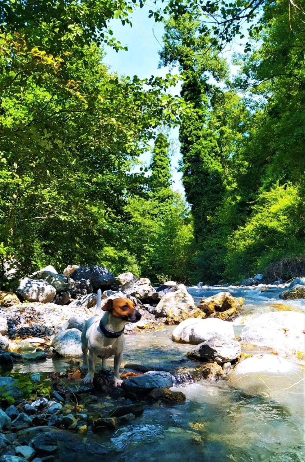 Natural landscape in B&B Il Ghiro-Country House