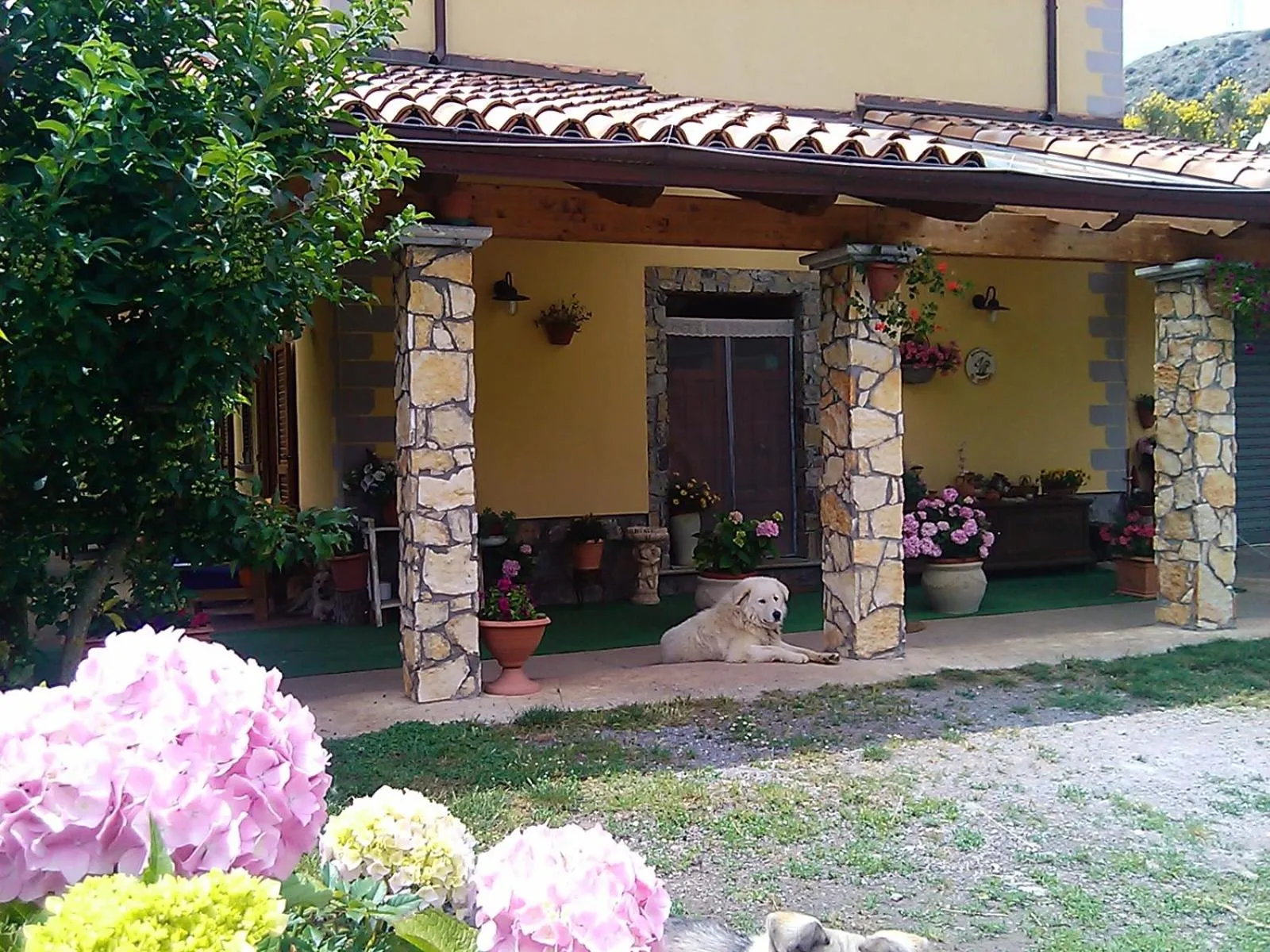 Pets in B&B Il Ghiro-Country House