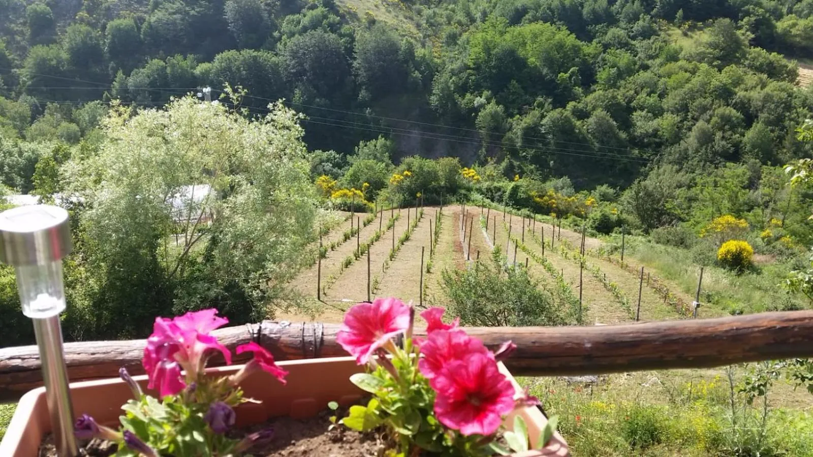 Garden in B&B Il Ghiro-Country House