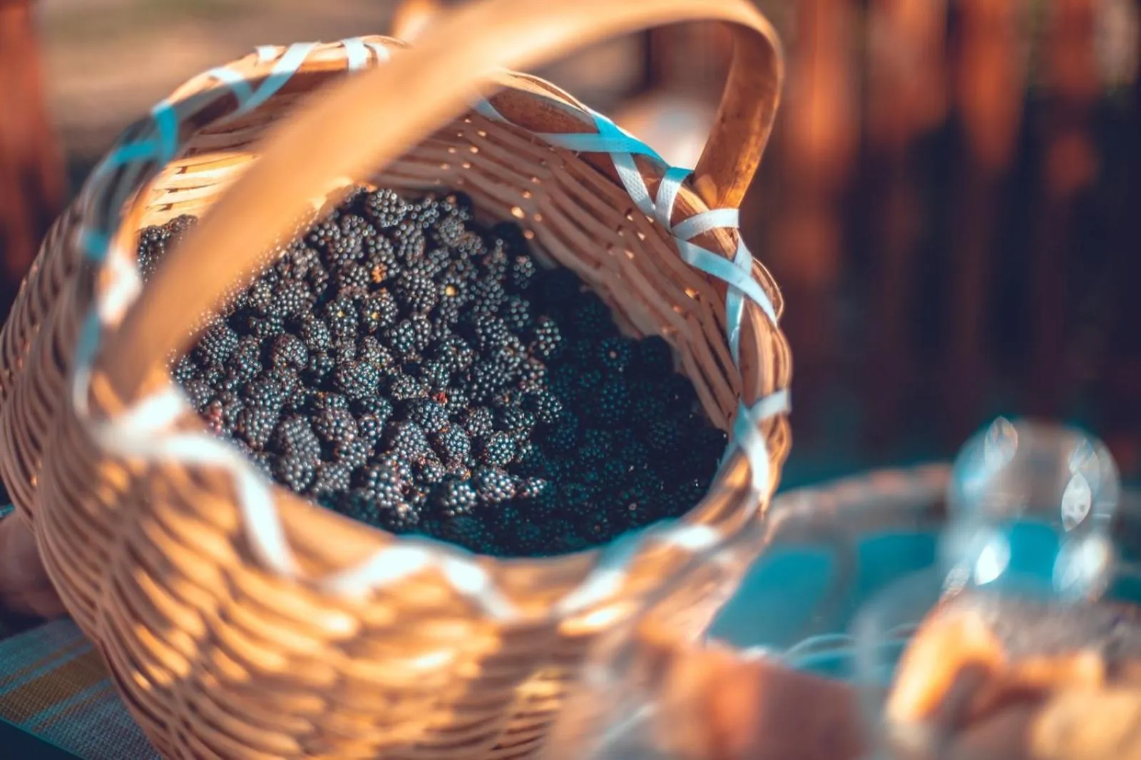 Day in B&B Il Ghiro-Country House