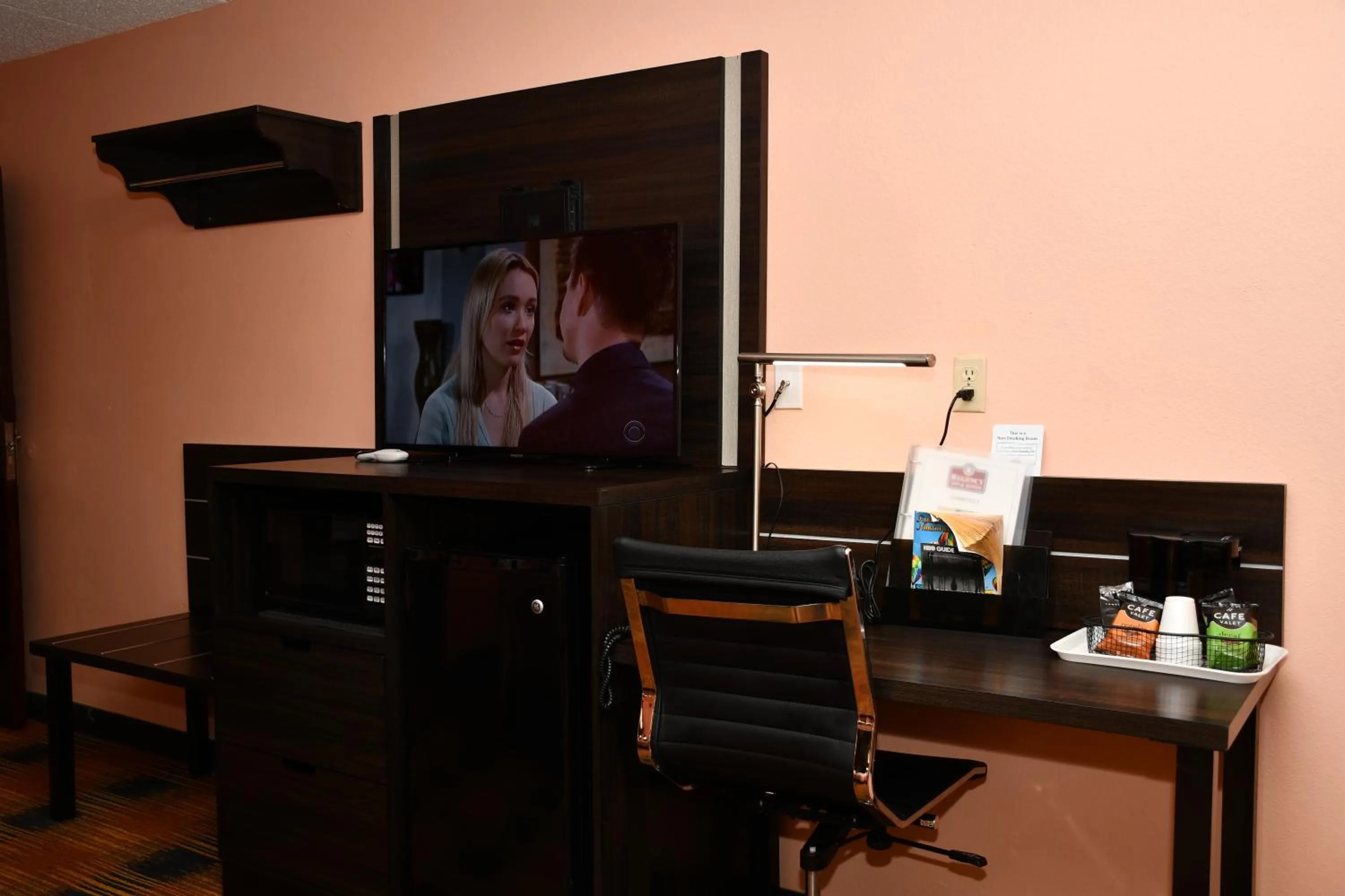 TV and multimedia in Regency Inn & Suites Faribault