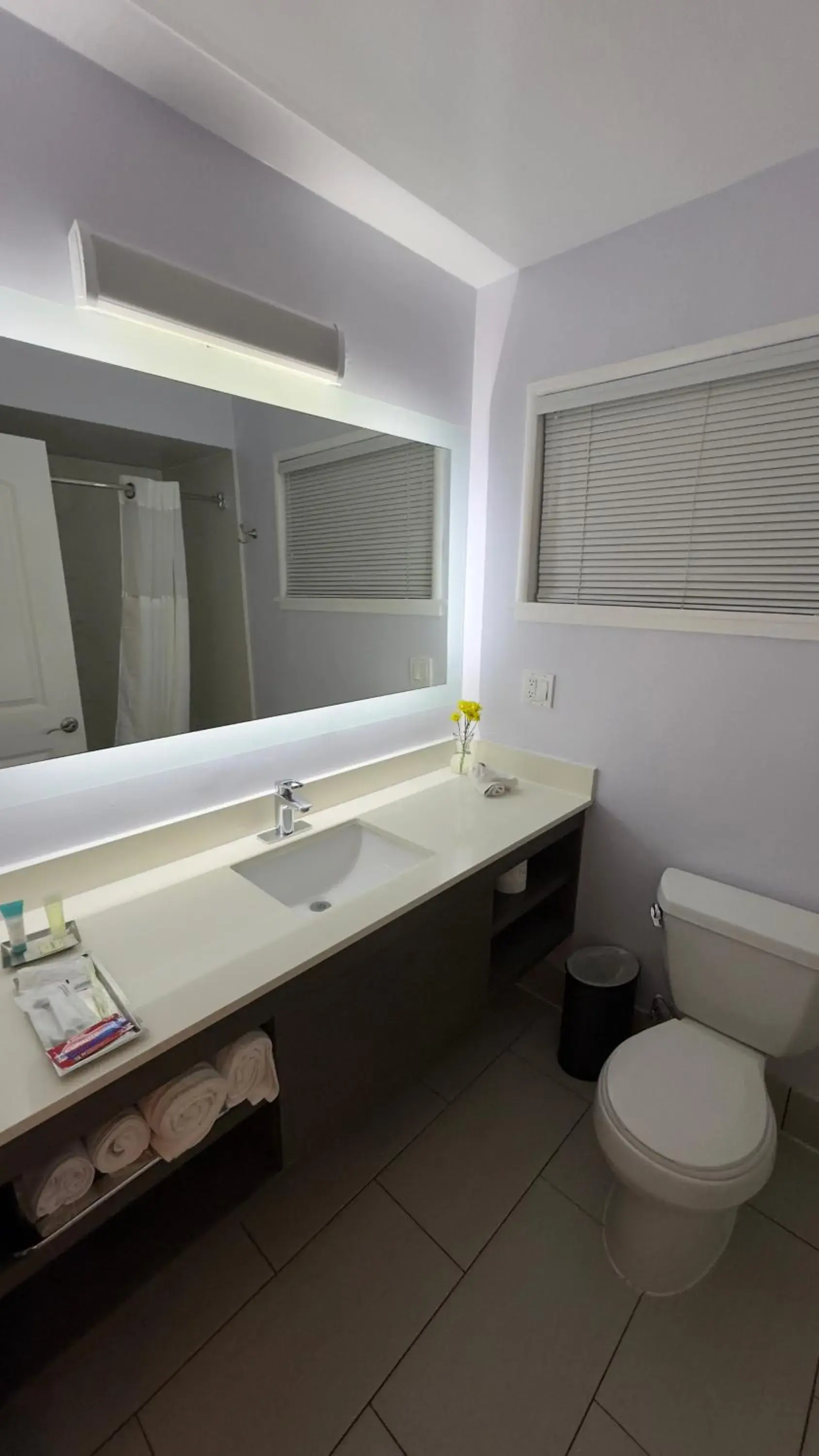 Toilet in The Palo Alto Inn Toilet in The Palo Alto Inn